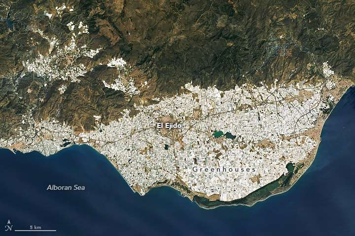 the-town-of-el-ejido-877a6172de67ef2ae10e546b9cf58f41.jpeg