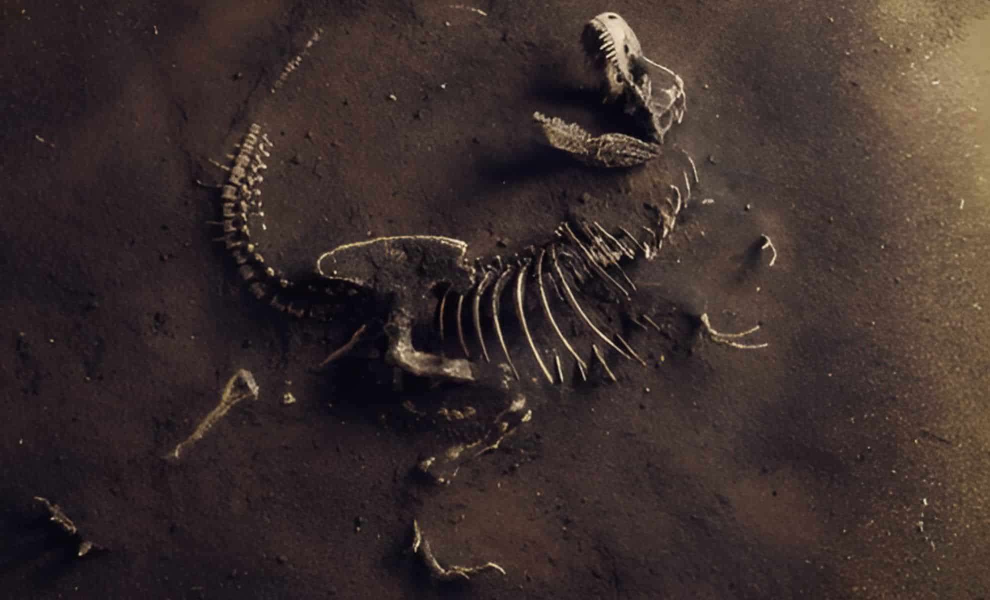 Ancient Dinosaur Protein Found Intact in 70-Million-Year-Old Fossil Challenges Fossilization Concepts 