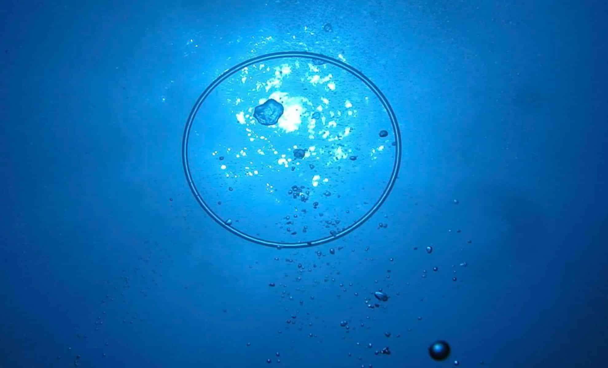 Scientists Uncover Potential Signs of Non-Human Communication in Oceanic Bubble Rings 