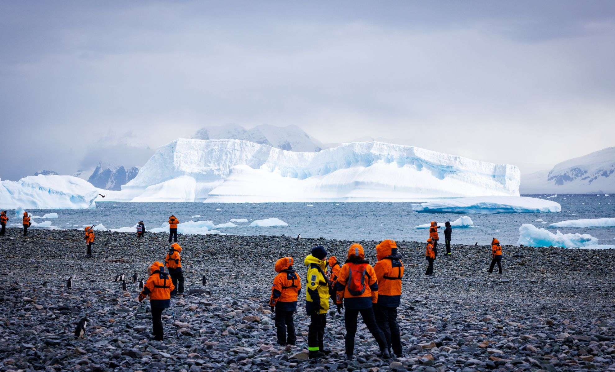 Emerging Linguistic Traits in Antarctica’s Seasonal Scientist Community 