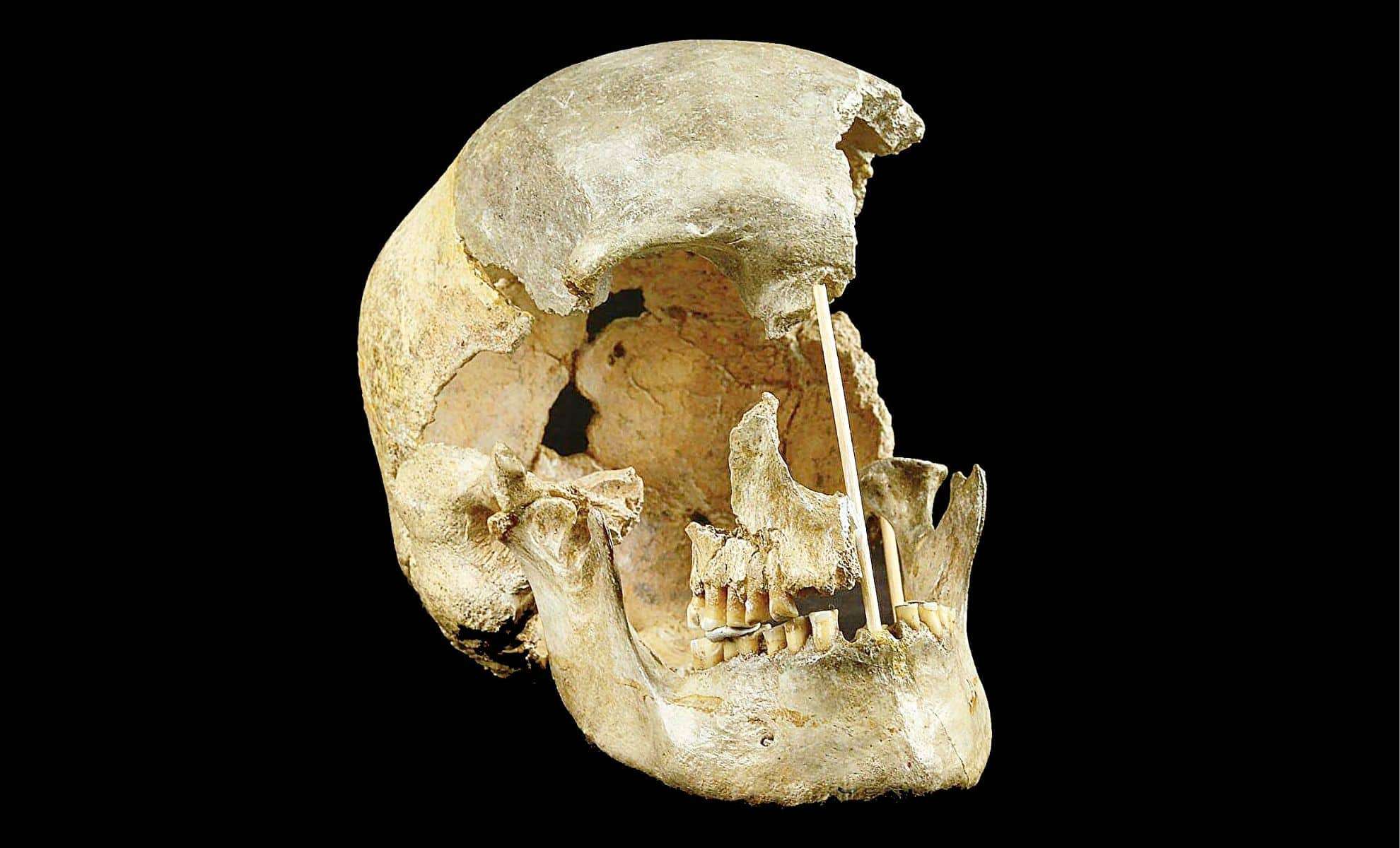 Researchers Uncover Ancient Human Population That Left No Genetic Descendants 