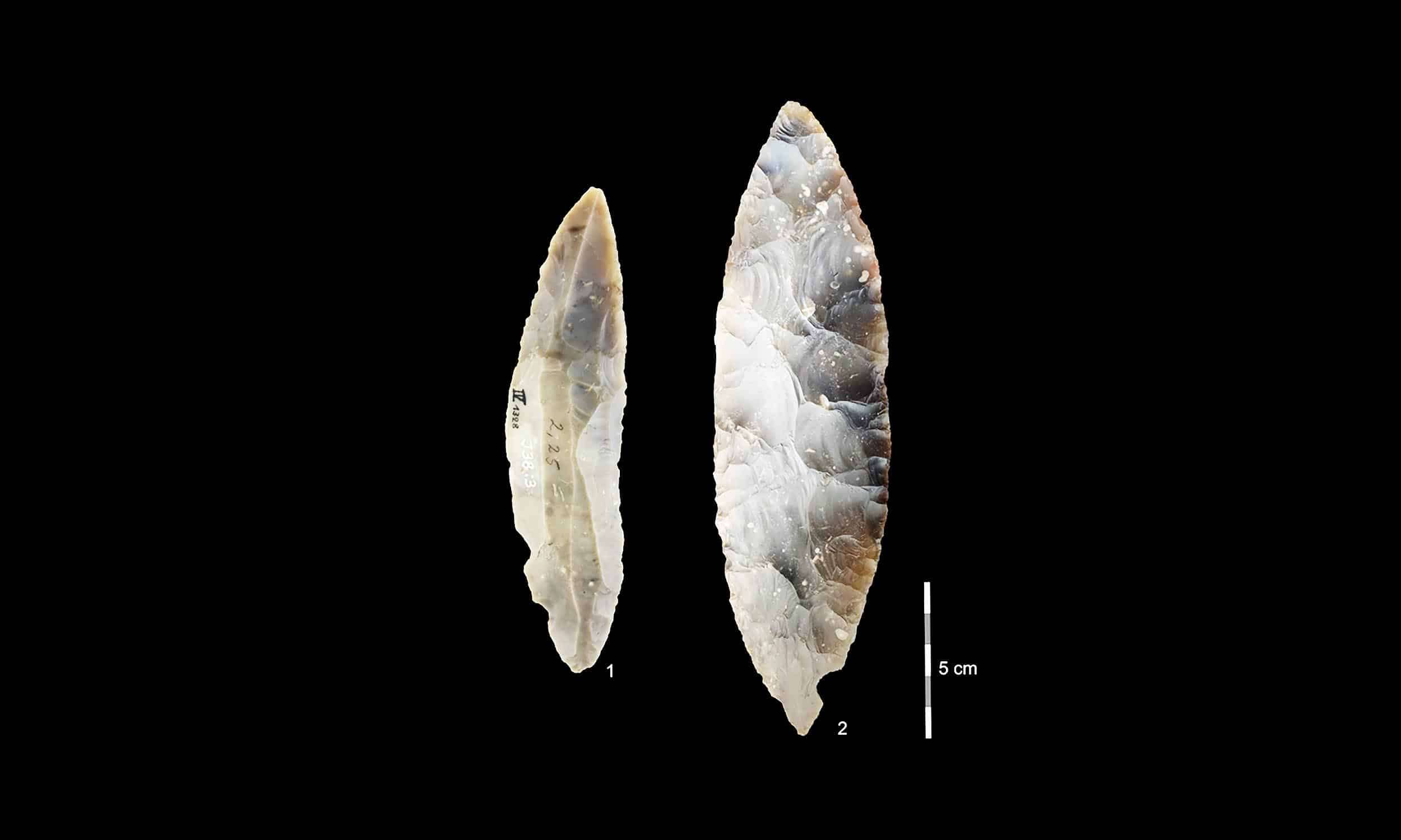 ancient-genomes_oldest-dna_LRJ-tools_Ranis-Germany-09b08f4ddd1daa14a67f21b9320298e2.jpg