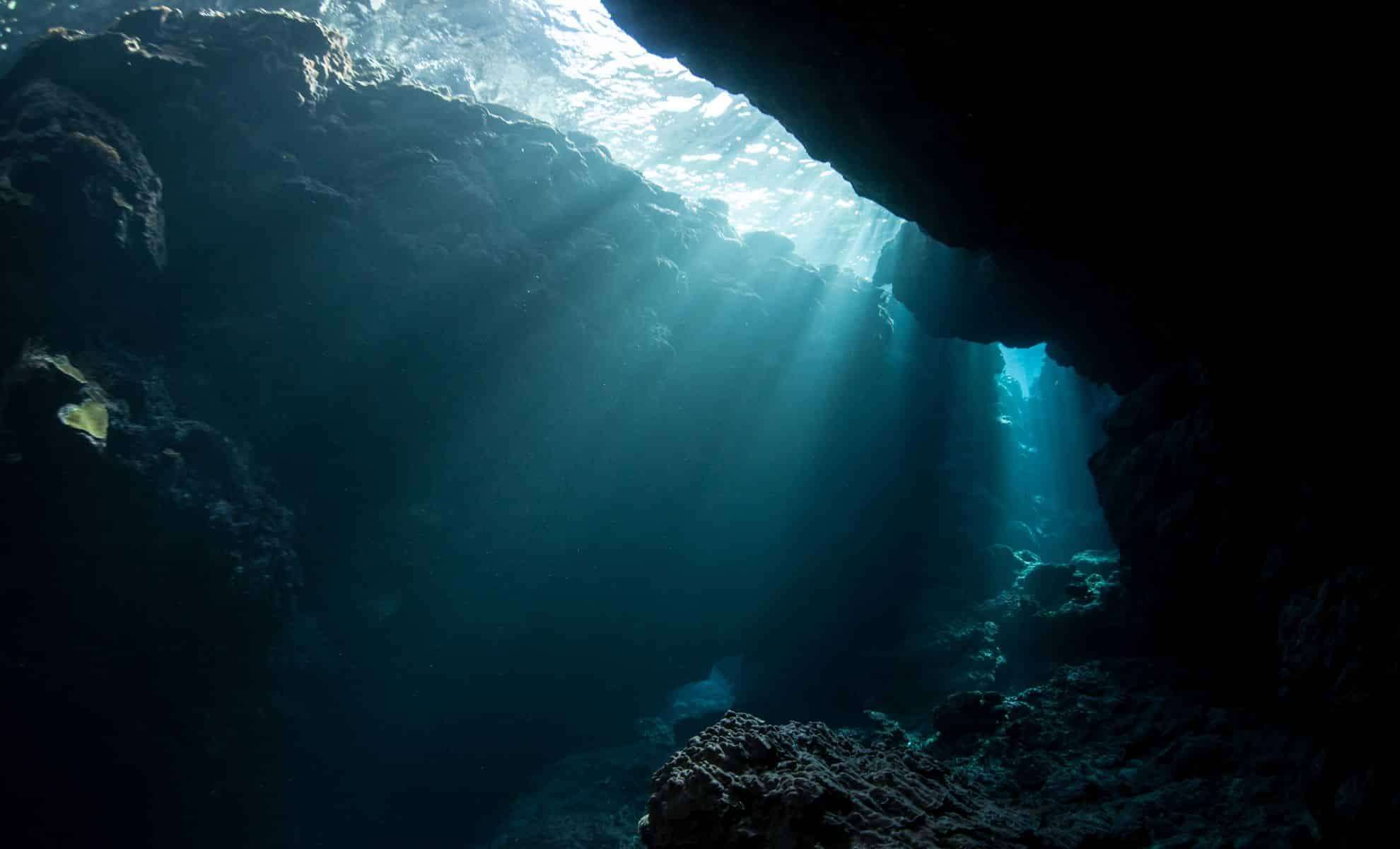 New Deep-Sea Predator Discovered in Ocean’s Most Mysterious Abyss 