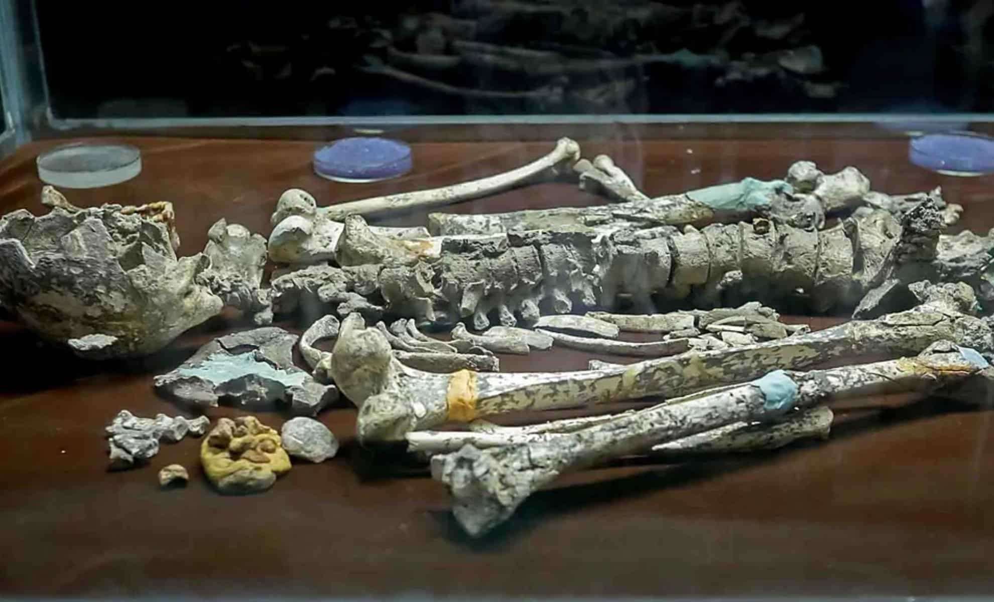 Millennia-Old Skeletons Unearthed in Malaysia Precede the Egyptian Pyramids 