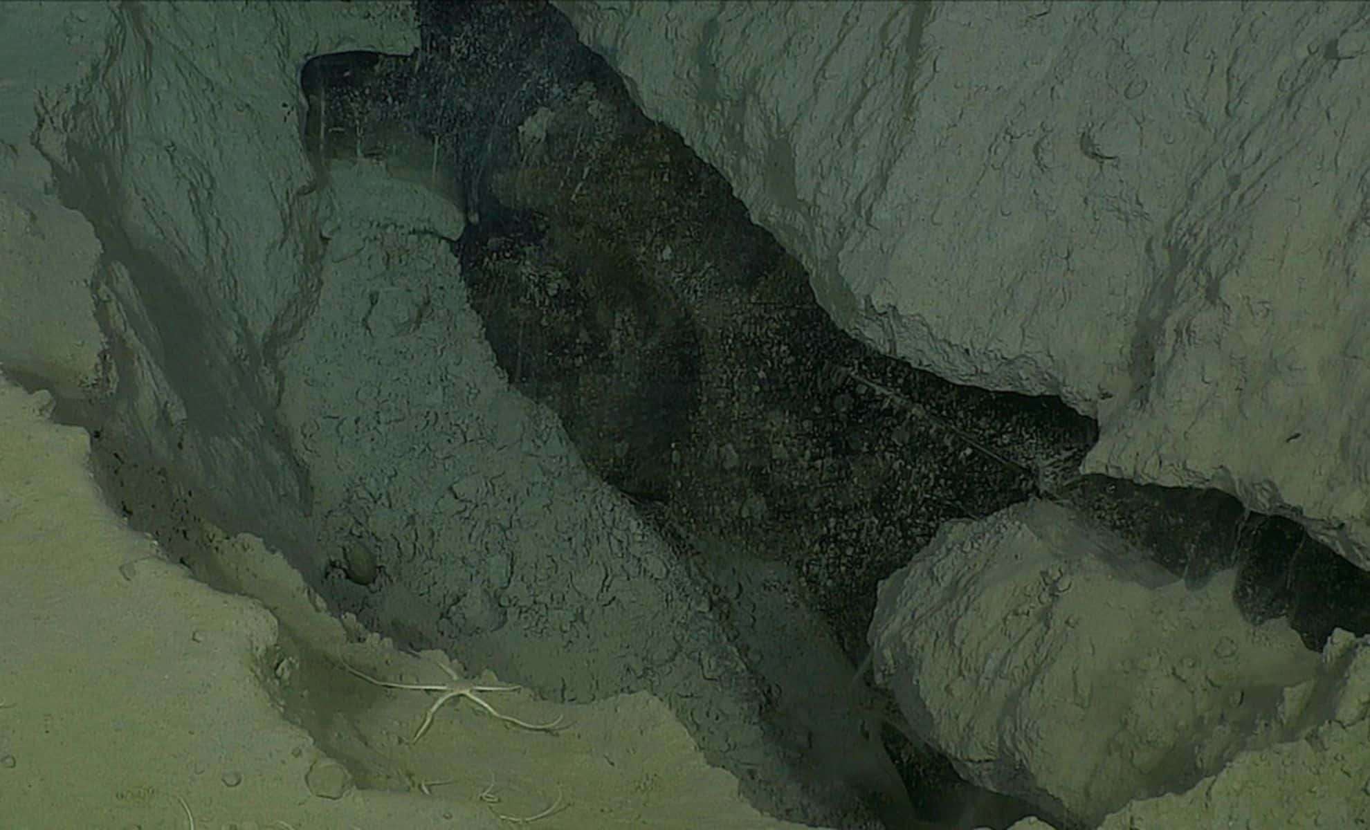 Uncovering Unexpected Contemporary Formations on the Arctic Seafloor 