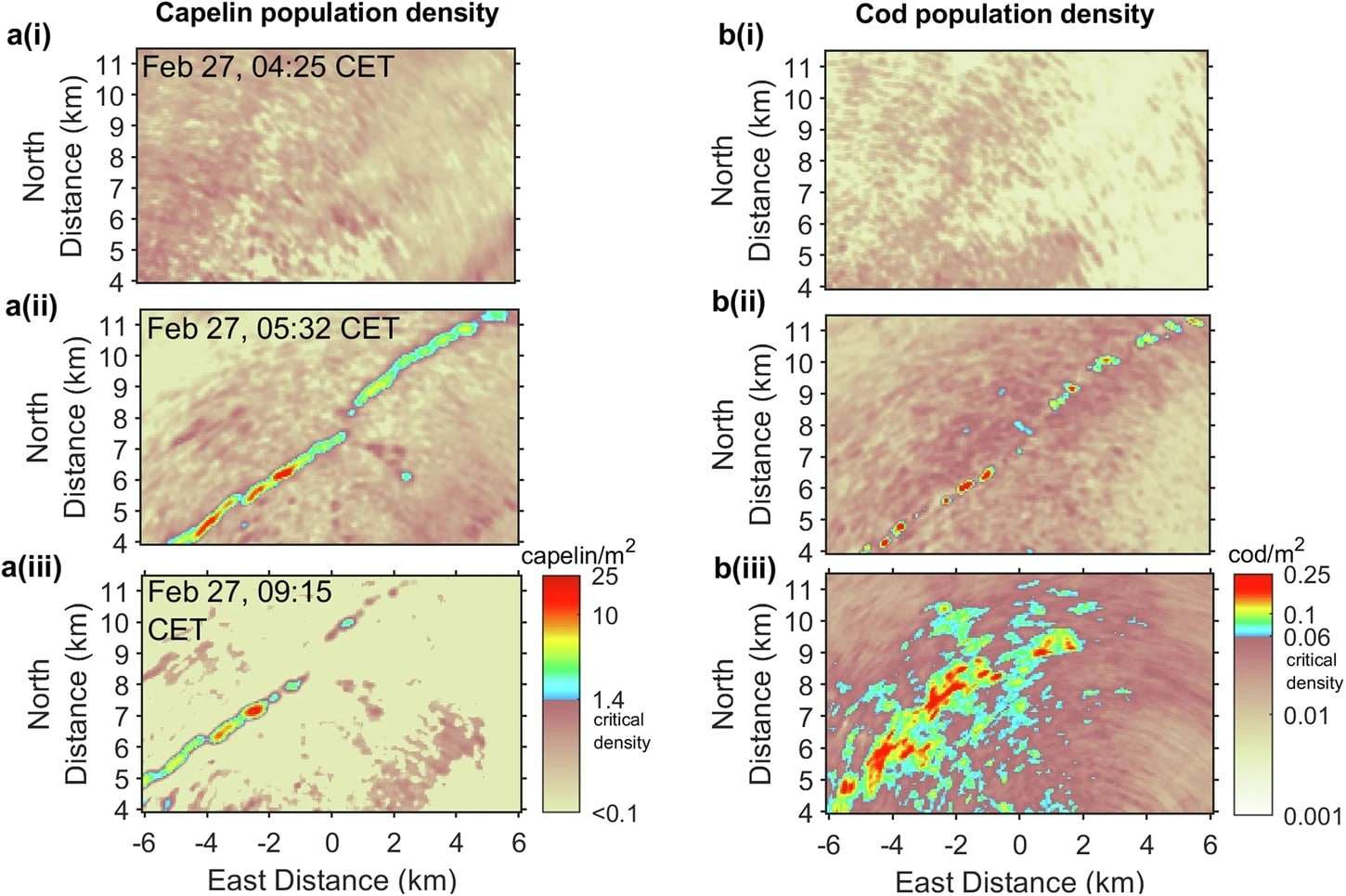 Instantaneous-wide-area-population-density-images-of-overlapping-species-536ac3171a084445dc211a51ebd2f575.jpeg