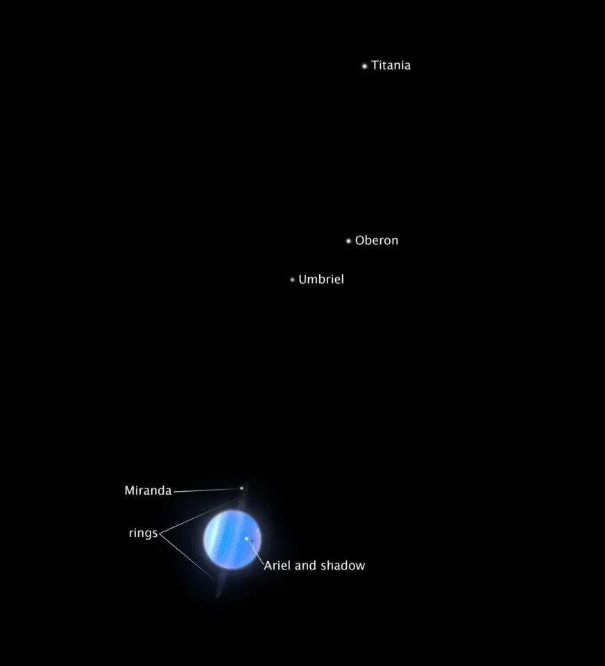 image-31-21a921082e38af869a92c9f860b2d806.png