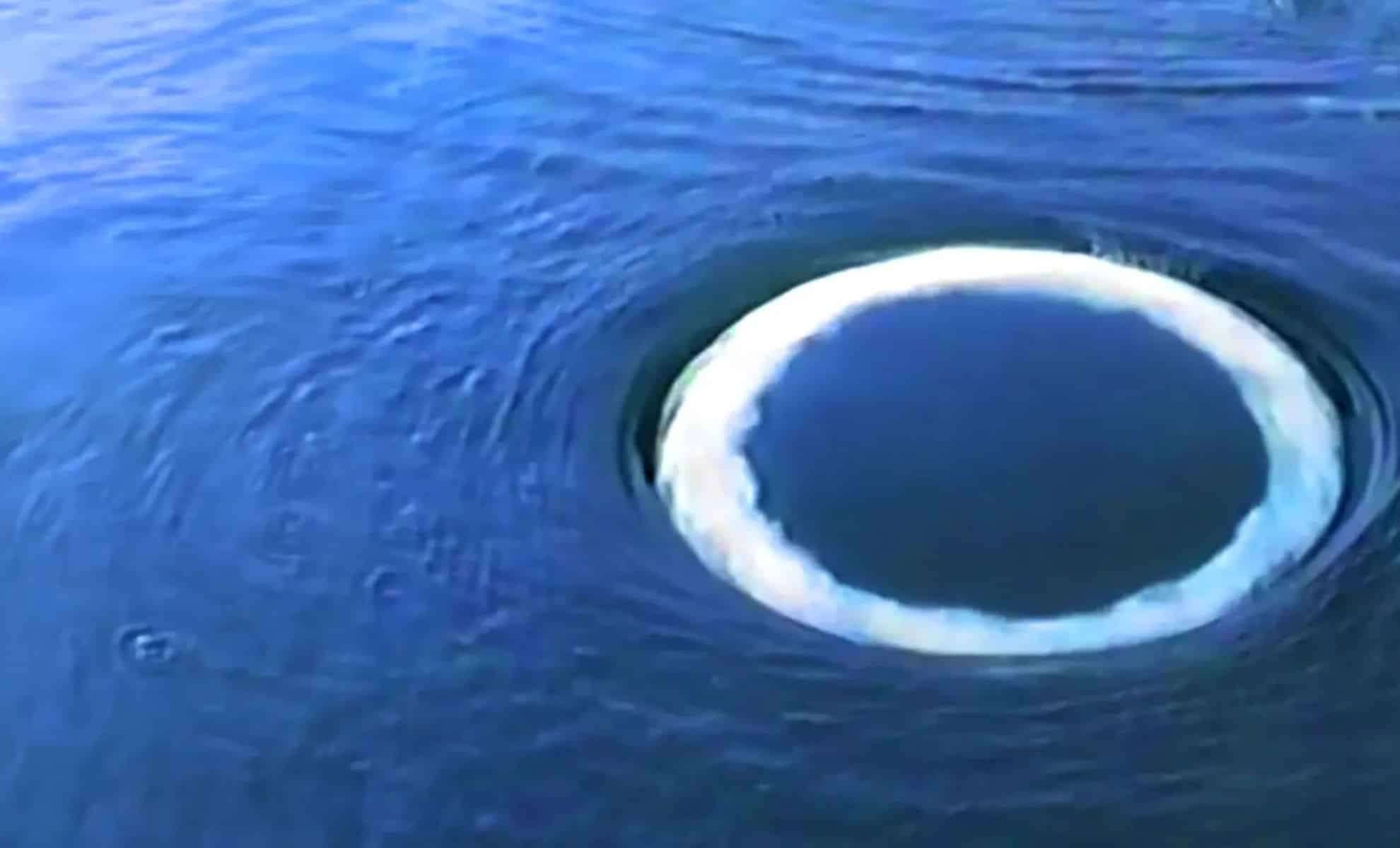 Humpback Whales Craft Perfect Bubble Rings: A Unique Form of Communication? 