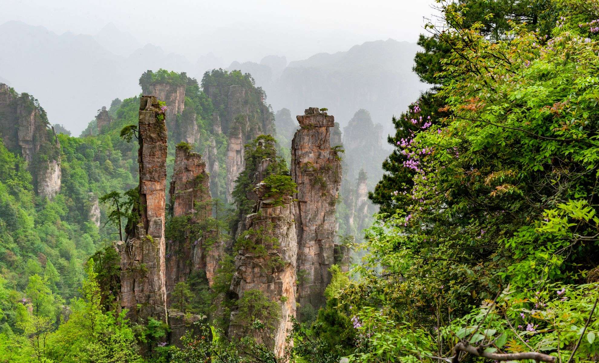 Inside Zhangjiajie: The True State of the ‘Avatar’ Inspired Natural Wonder 