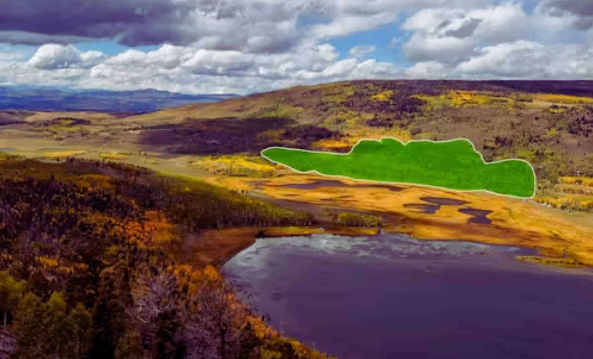 Utah’s Giant Aspen Colony at Risk of Disappearing Amid Multiple Threats 