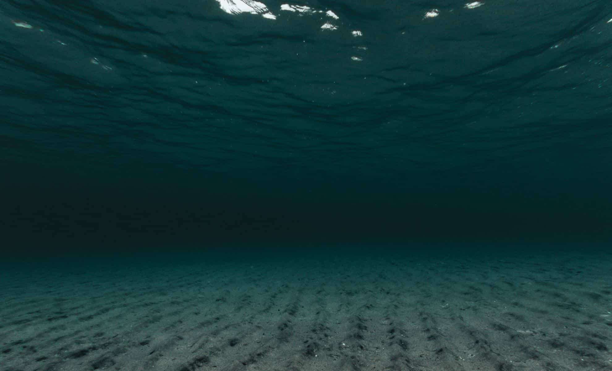 Scientists Discover Remarkable Deep-Sea Ecosystems at Over 31,000 Feet Depth 