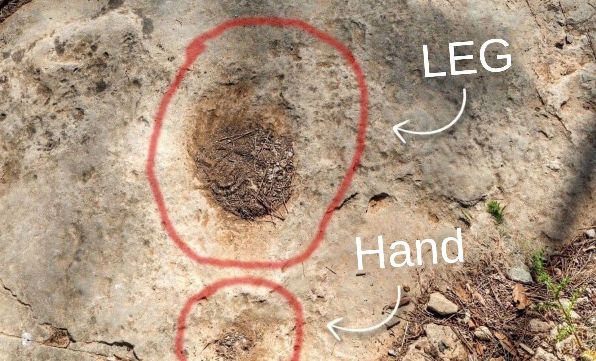Southern France Yields First-Ever 80-Million-Year-Old Dinosaur Tracks 