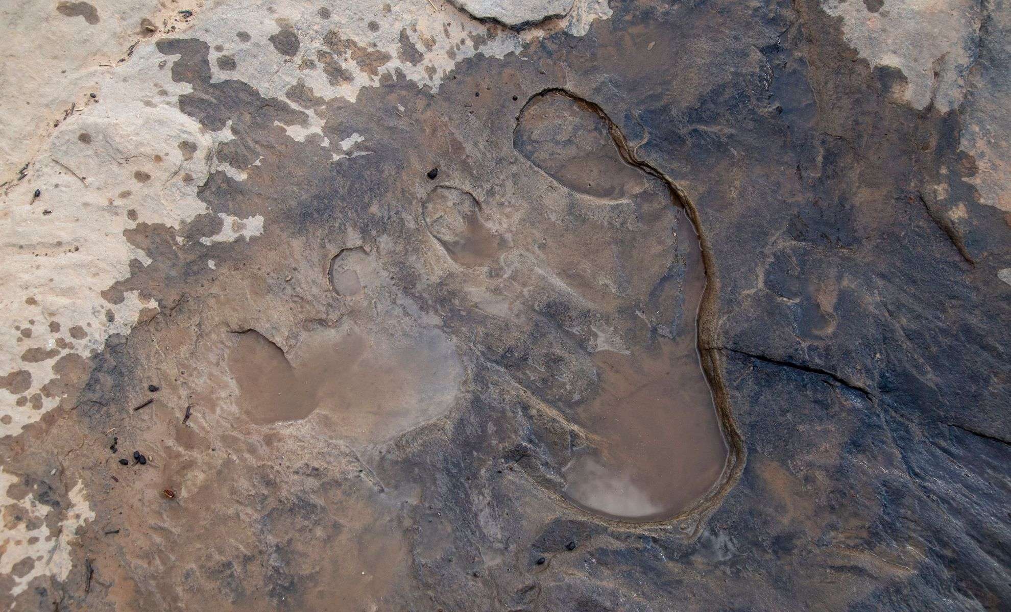 Neanderthal Footprints Unearthed on Portugal’s Monte Clérigo Coastline 
