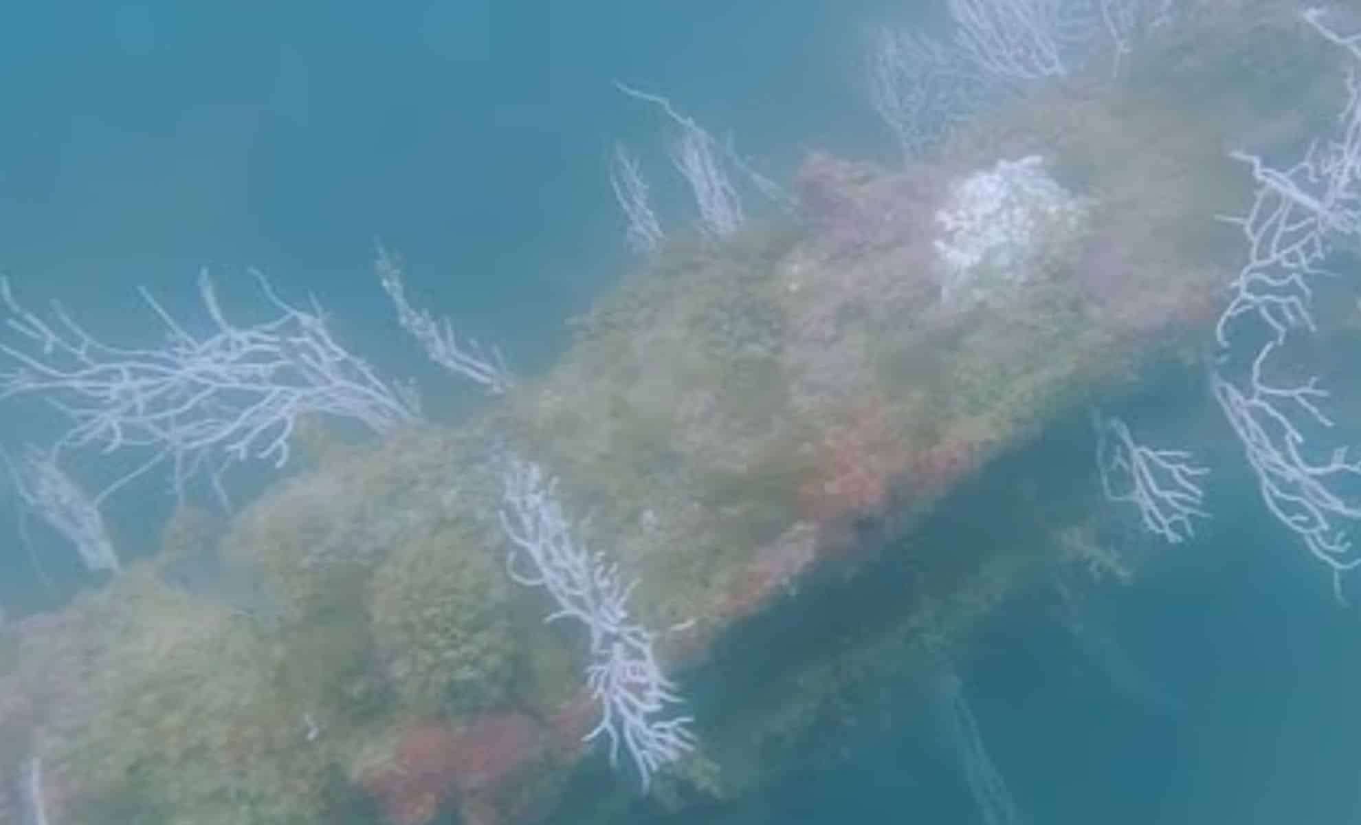 New Evidence Suggests Atlantis May Lie Beneath Waters Near Spain’s Coast 
