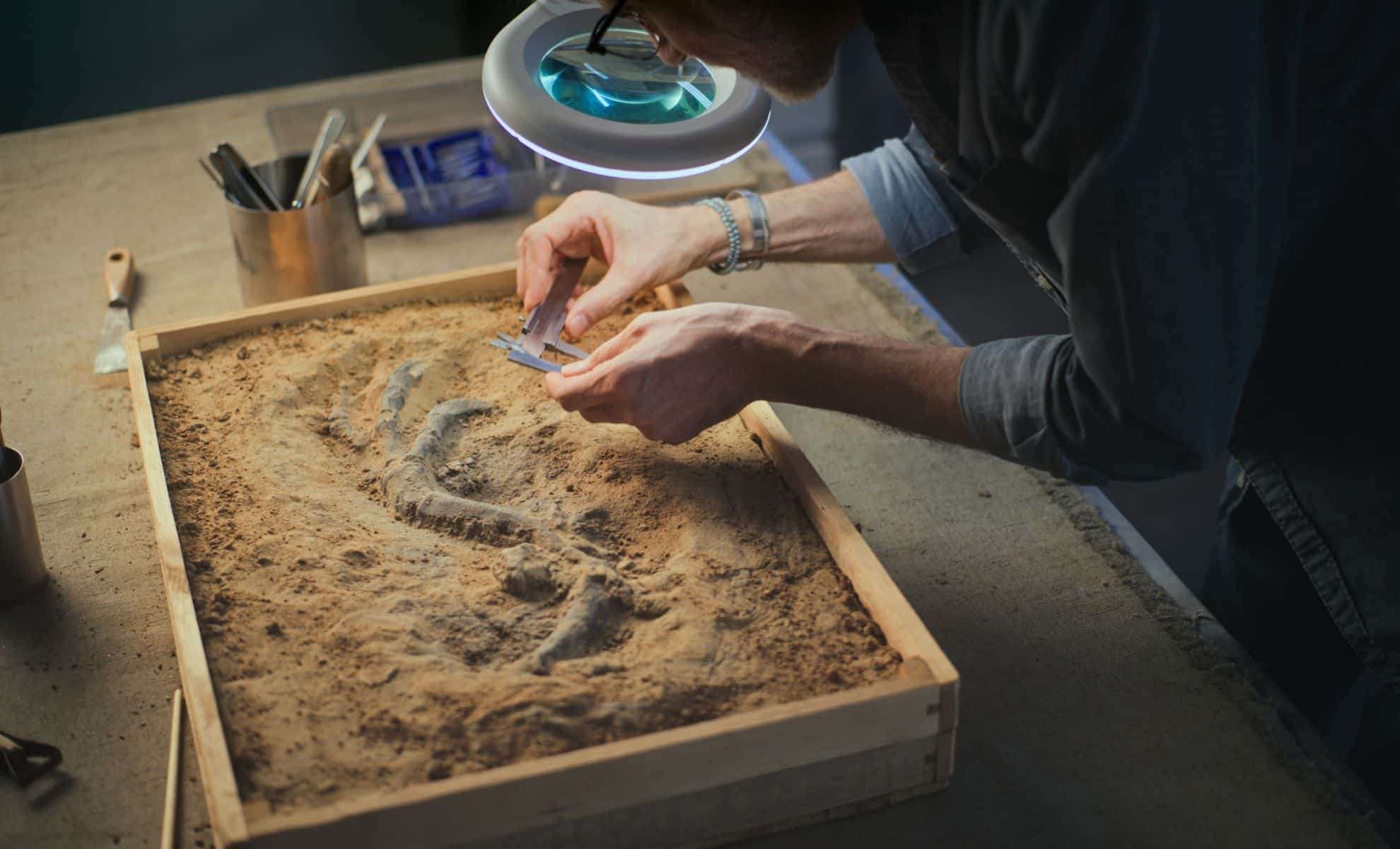 Denver Museum’s Green Energy Drill Unearths 67-Million-Year-Old Dinosaur Fossil 