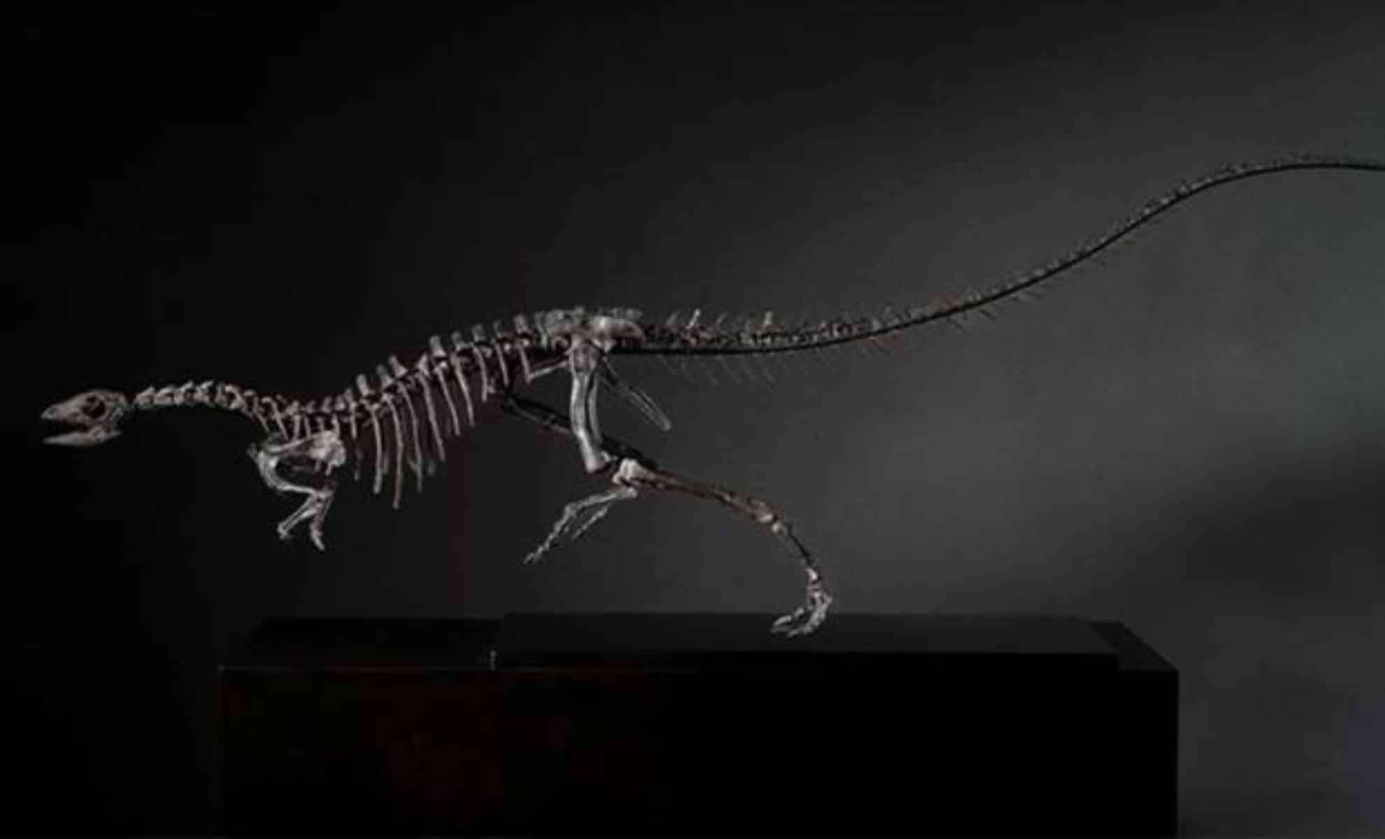 Meet Enigmacursor: The Lightning-Fast Jurassic Dinosaur No Bigger Than a Dog 