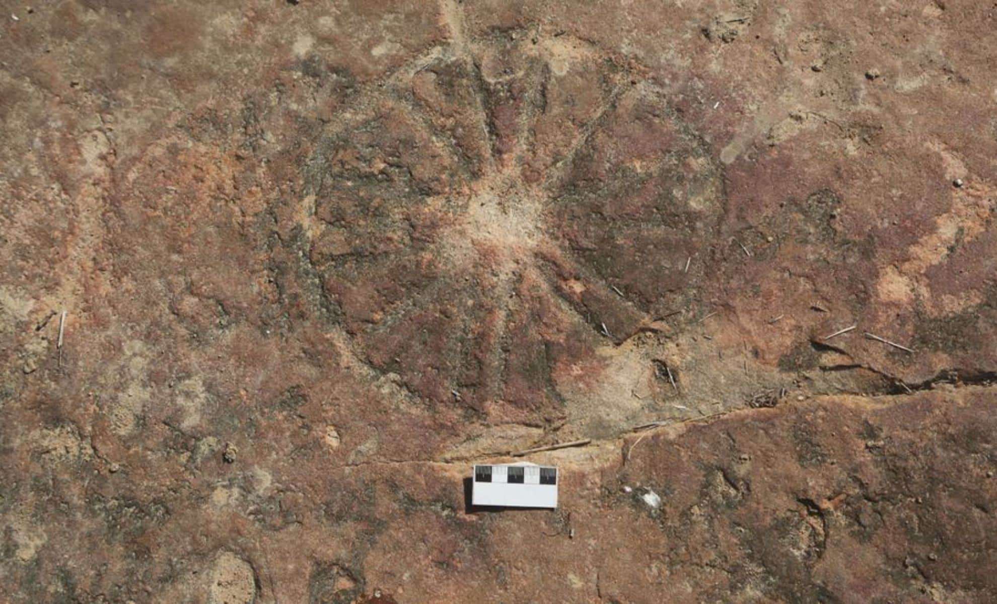 Ancient Rock Art Unearthed Beside Dinosaur Tracks in Brazil Dates Back 9,000 Years 