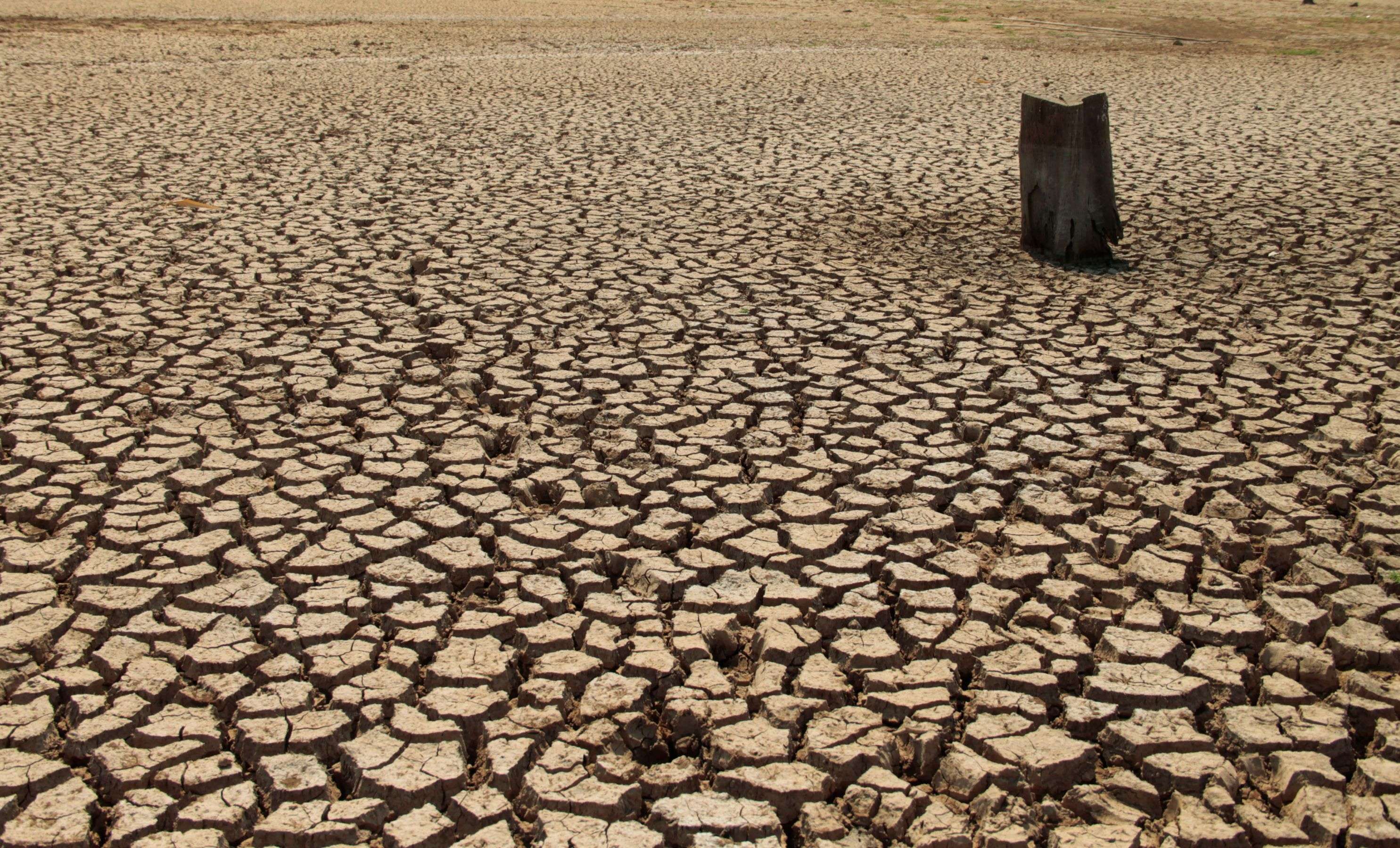 Satellite Data Reveals Rapid Drying of Earth's Landmass 