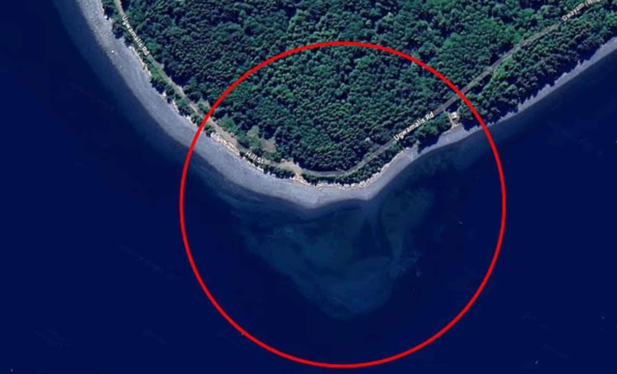 Enormous Skull Shape Uncovered in Ocean via Google Maps Sparks Curiosity 