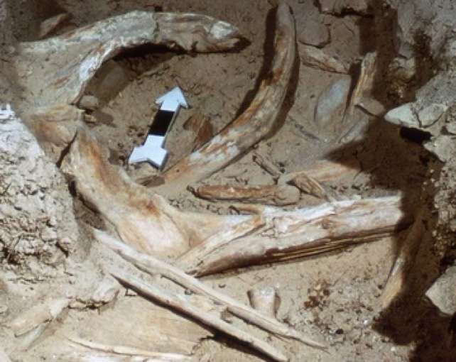 The-driftwood-in-Stantons-Cave-02e10f7327a3ad1b10b98a62acbd8e3a.jpg