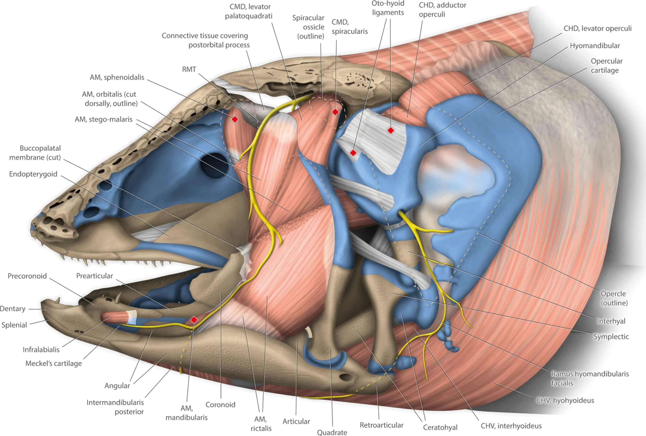 credit-science-advances-scaled-76b736b1886e26c411132119e89c2ab5.jpg