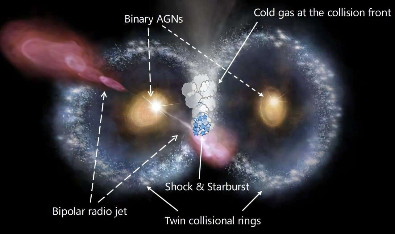 the-cosmic-owl-1f955fdae28a1622cb2c872307160cec.jpg