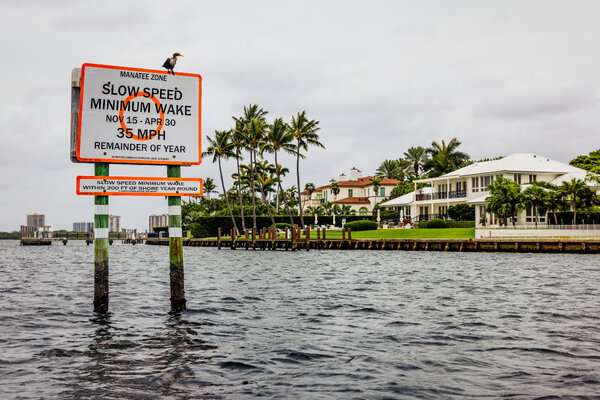 00nat-billionaire-sewage-01-cvkl-articleLarge-fd685dfe673a0c0af8621bd2fd7a1146.jpg