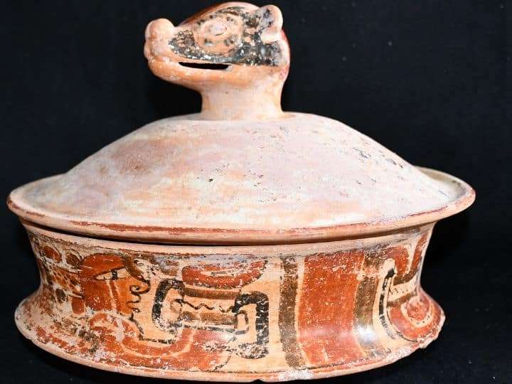 chase-caracol-maya-pottery-basal-flange-bowl-with-a-coatimundi-head-994c911df49bfb8a2174d54ef3f8894b.jpg
