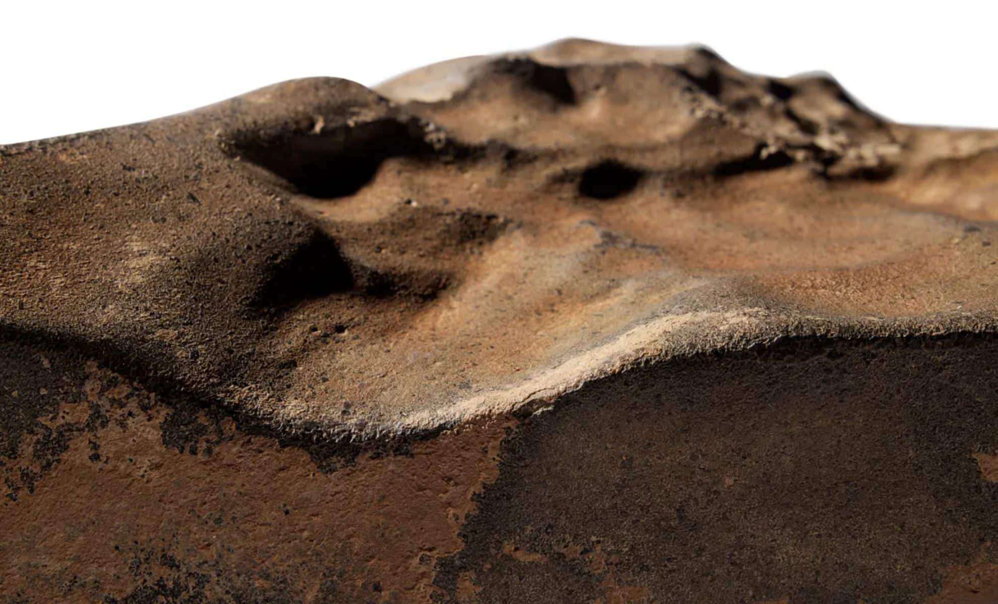 Largest Ever Martian Meteorite Up for Auction: A $4 Million Space Treasure 