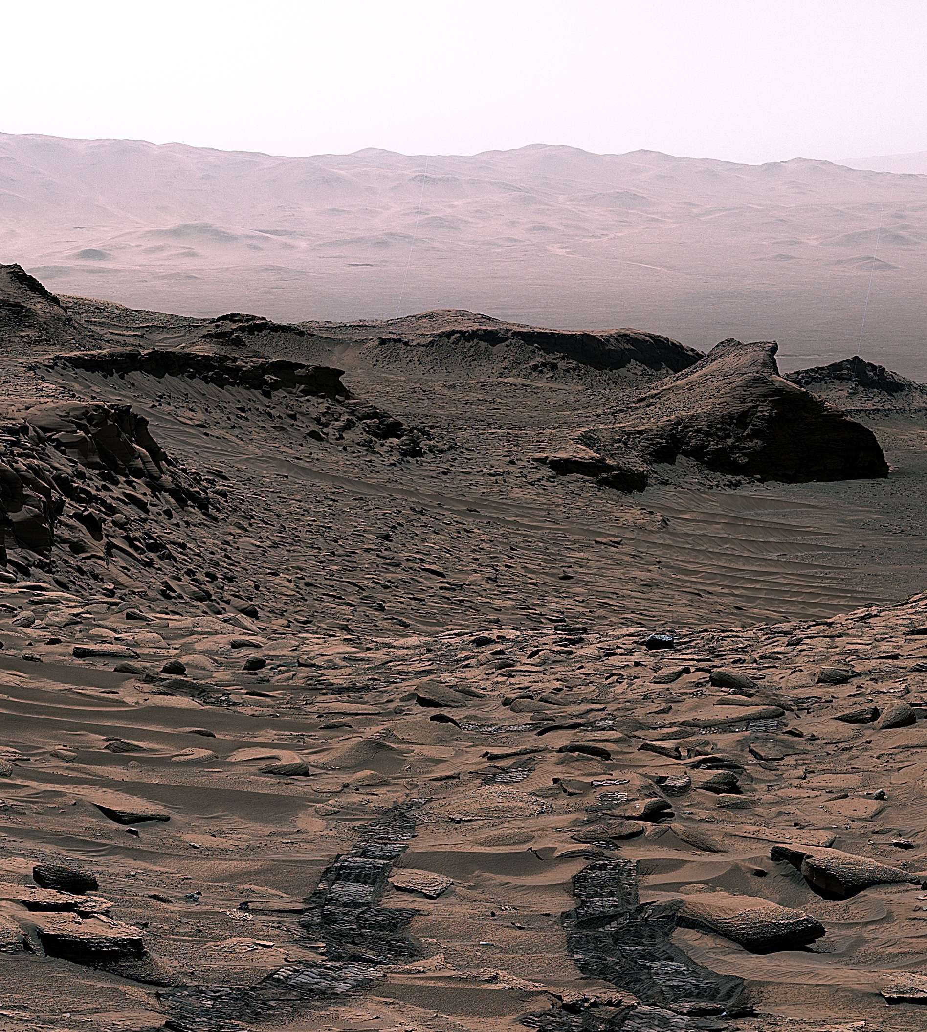 1-pia26554-curiosity-surveys-the-ubajara-sampling-site-4-figure-a-ee9a66e77946fea2a5060d61d4a8cb76.jpg