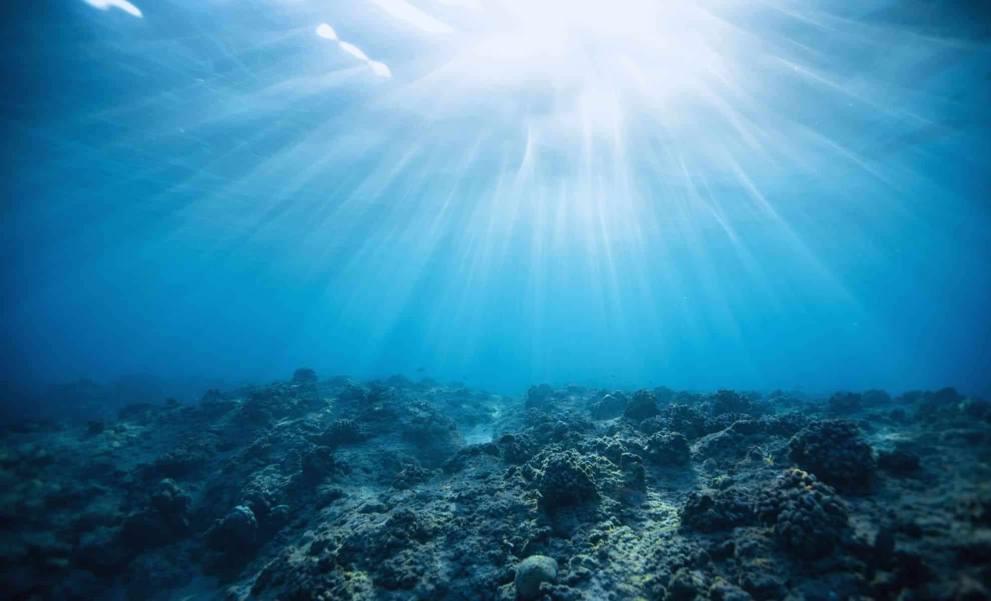 Breakthrough Satellite Technology Unveils Unrivaled Insights into Ocean Carbon Uptake 