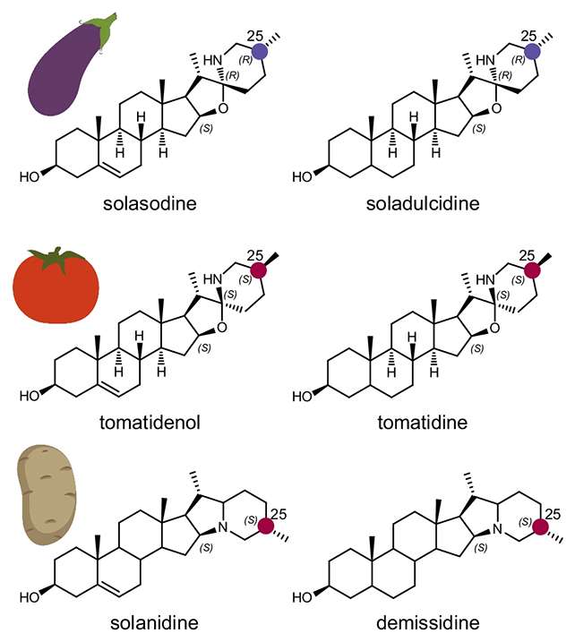 TomatoAlkaloids-19e41c32b5c0254cf76630ed8a1d5b60.jpg