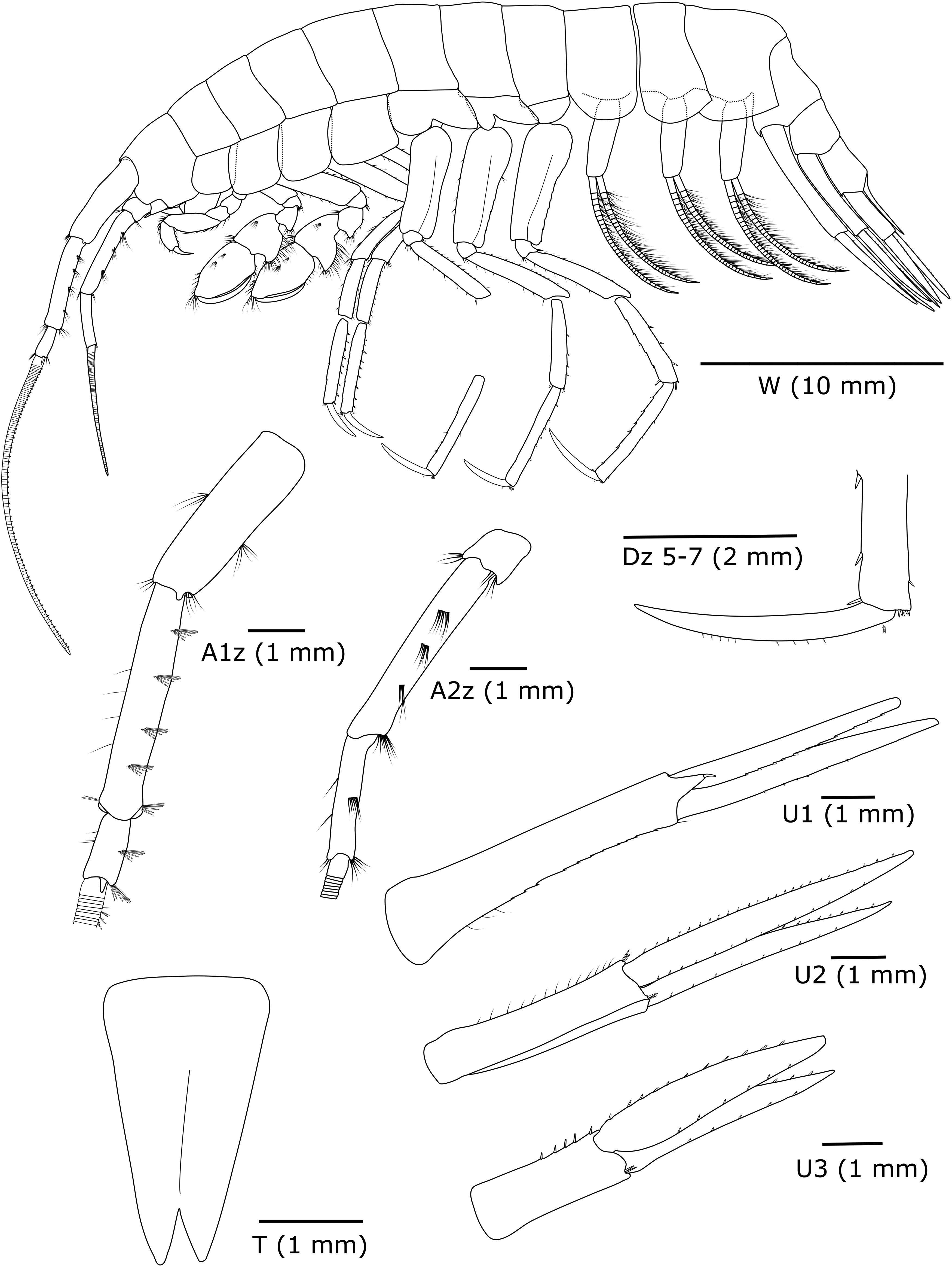 tsab_a_2416430_f0003_b-a35b0cfe590fa1fe566e0ce6df44007c.jpg