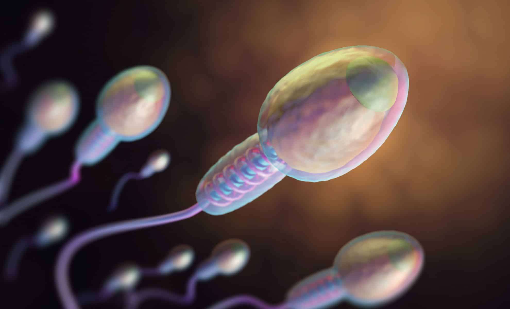 Researchers Reveal Sperm Cells Defy Classical Physics Principles 