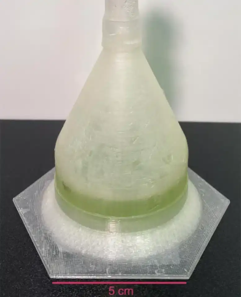 Close-Up-of-Bioplastic-Habitat-With-Algae-Growth-8aed82f8df6d73ee910e87fe24787959.webp