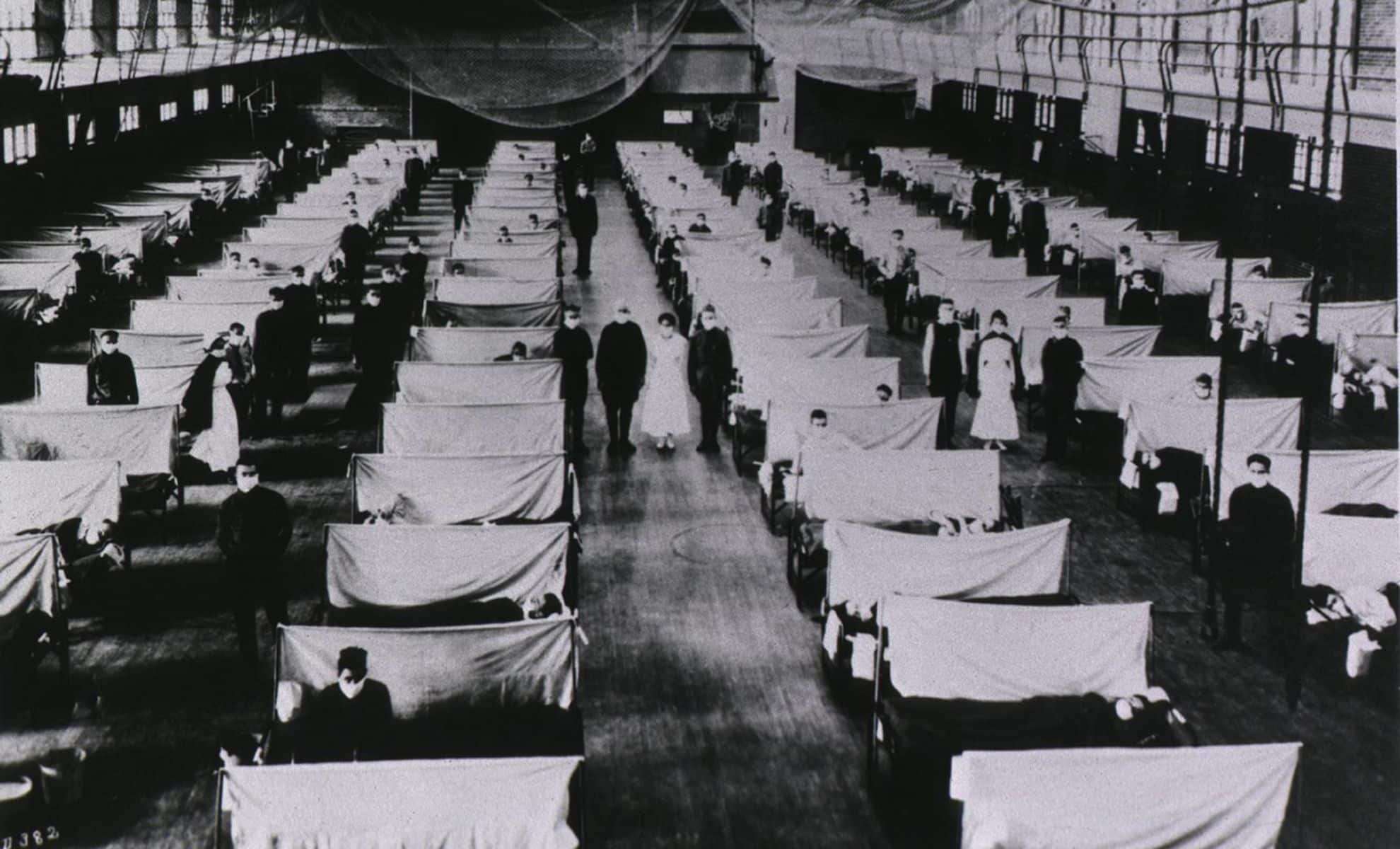Scientists Decode 1918 Spanish Flu Genome, Revealing Viral Evolution Secrets 