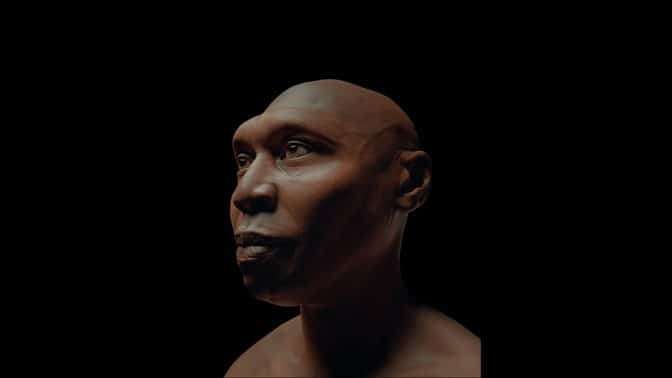 Home-erectus-02a1a871c3980de3dc8f7bf97eee6959.jpg