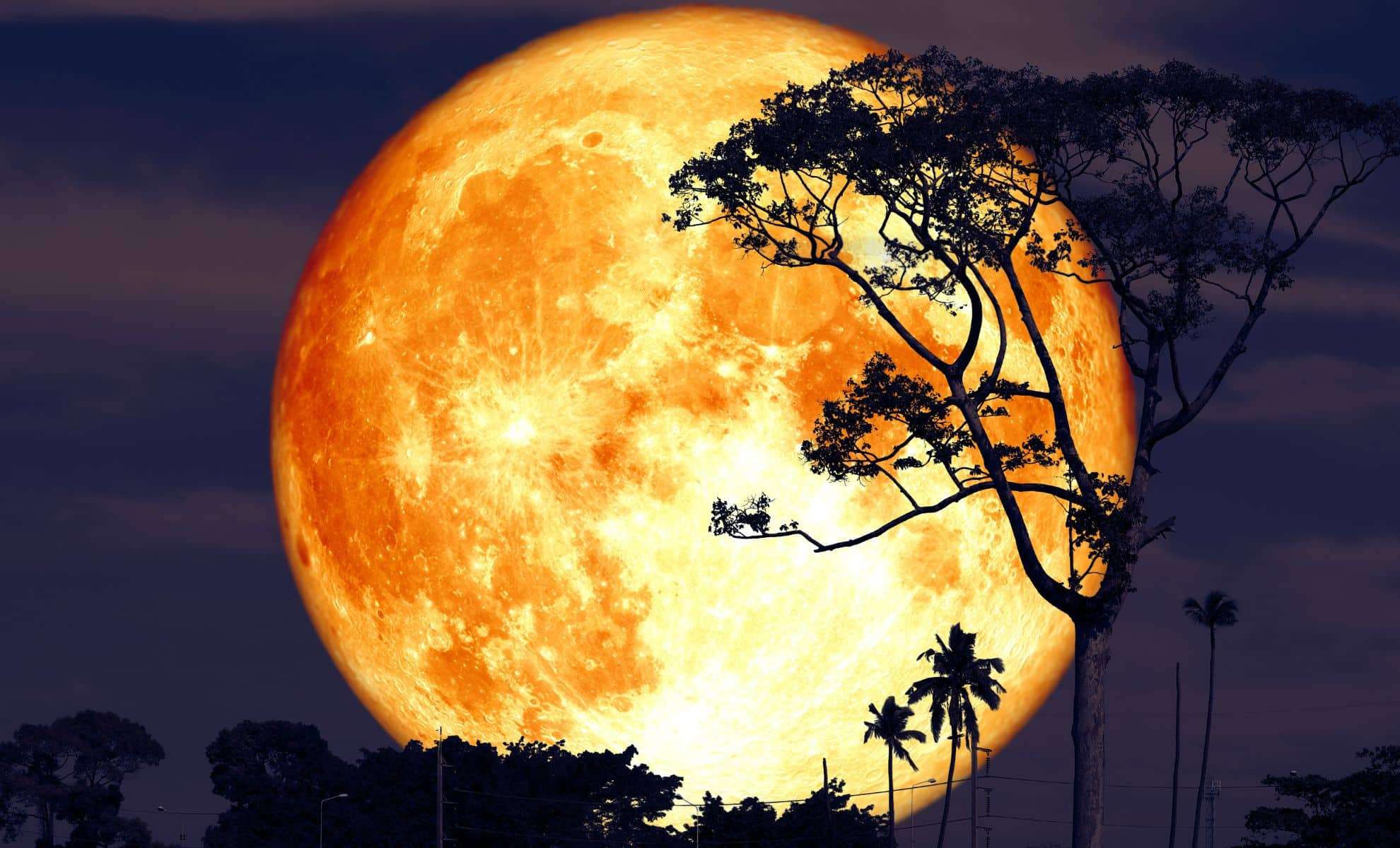 Experience the Magic of July’s 2025 Buck Moon: A Skywatcher’s Essential Guide 