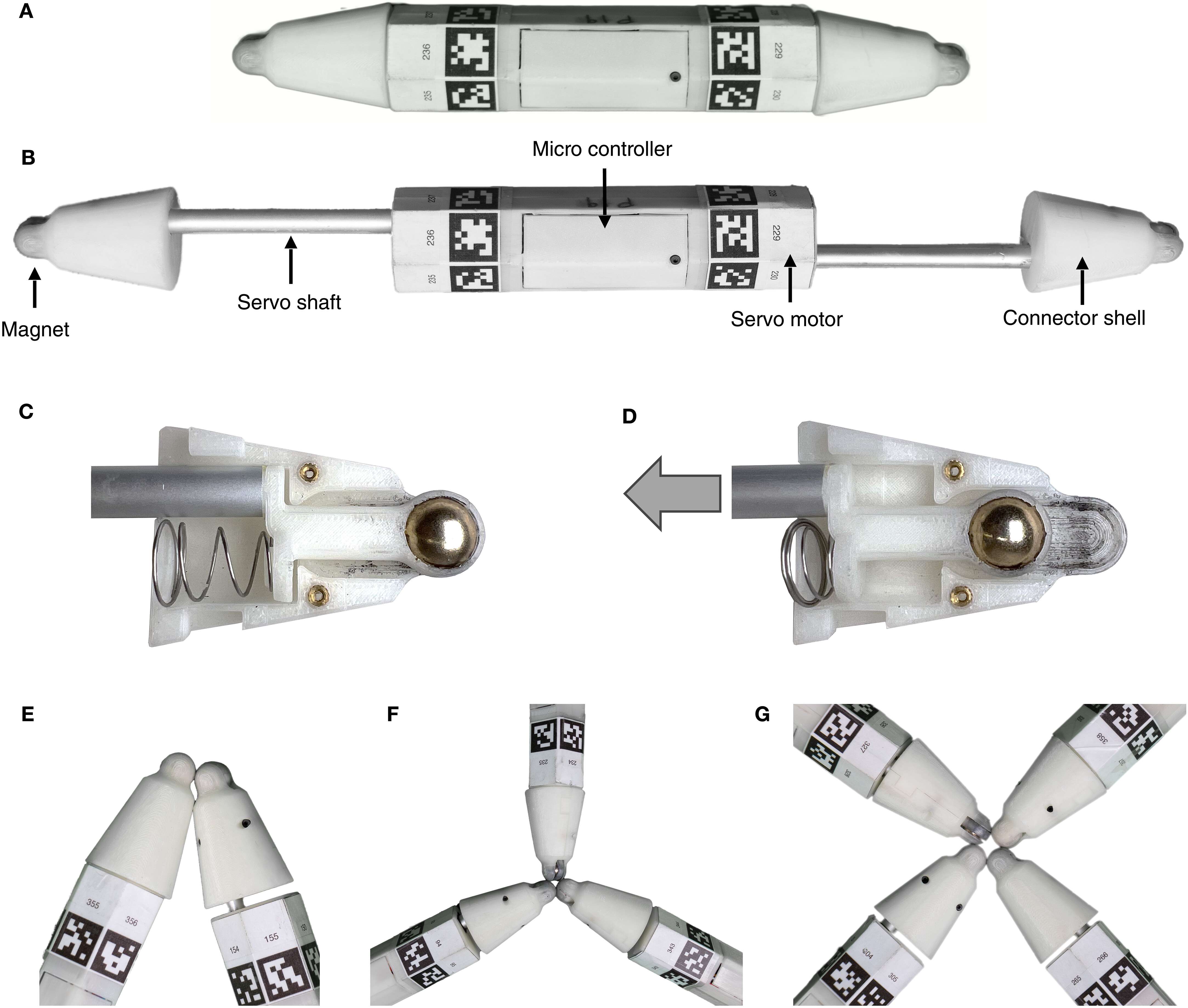 sciadv.adu6897-f2-f93dc4227459713e71eea073149ac99b.jpg
