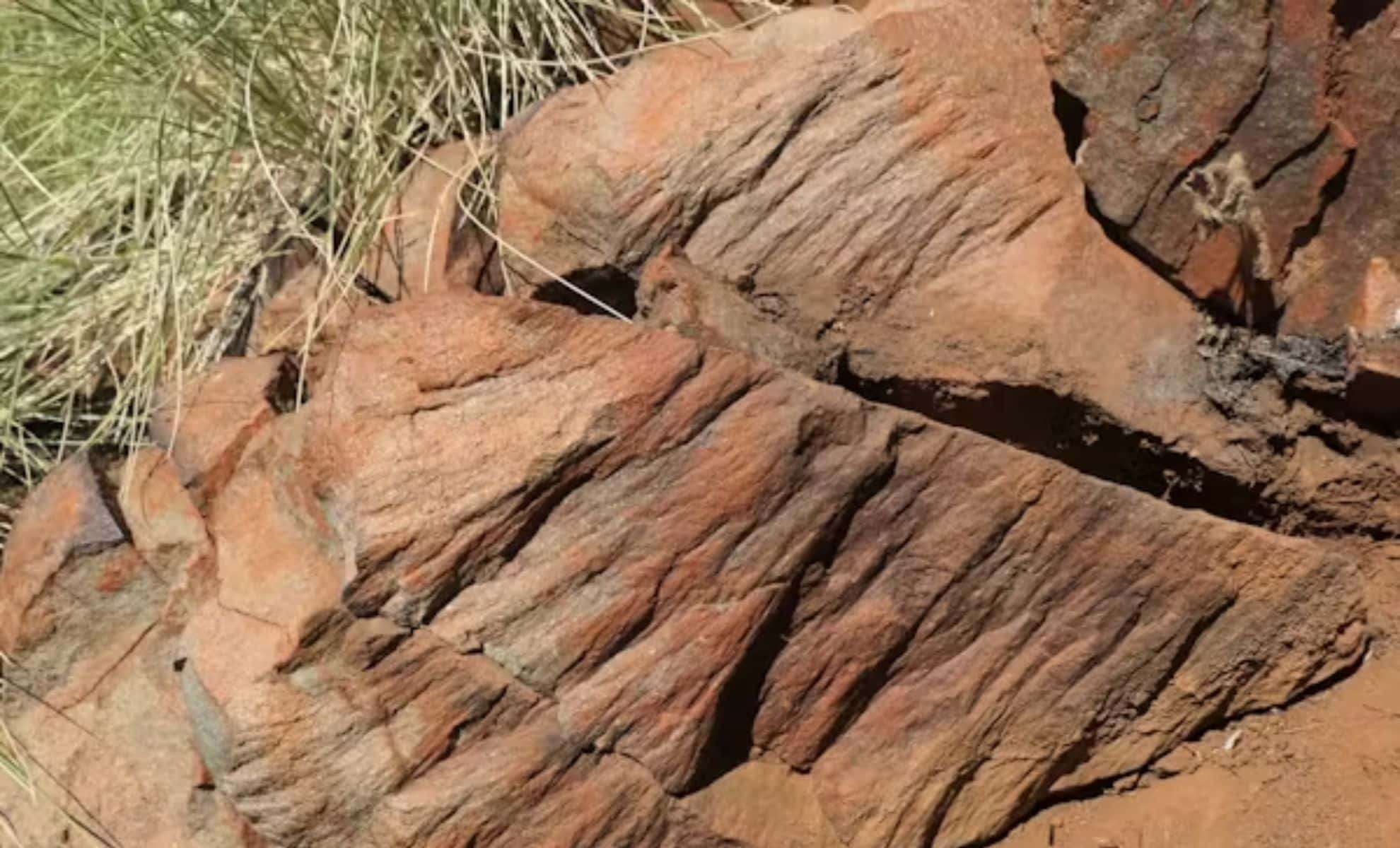 Outcrop-photo-of-shatter-cones-in-basalt-at-the-Miralga-impact-structure-56fedc830c6d0cfe8d65c47f164924f9.jpg