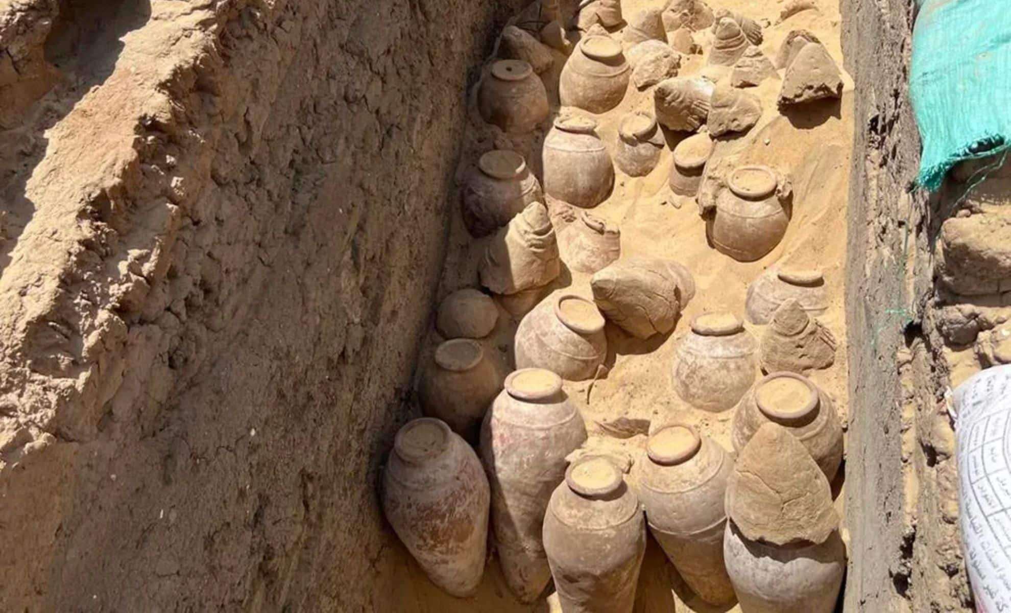 Ancient Egyptian Royal Tomb Reveals 5,000-Year-Old Wine Jars 