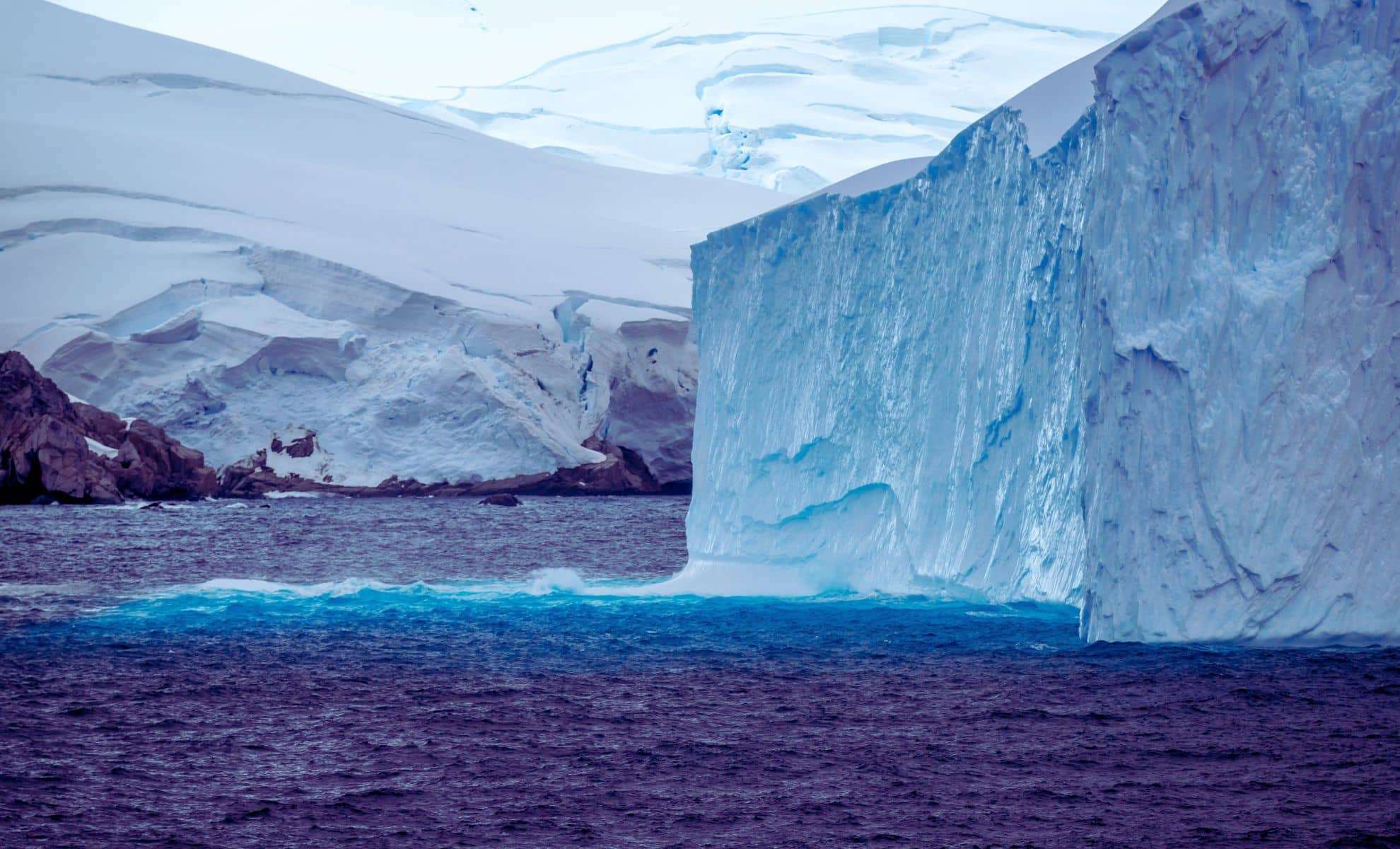 Transformations in Antarctic Phytoplankton Signal Wider Climate Consequences 