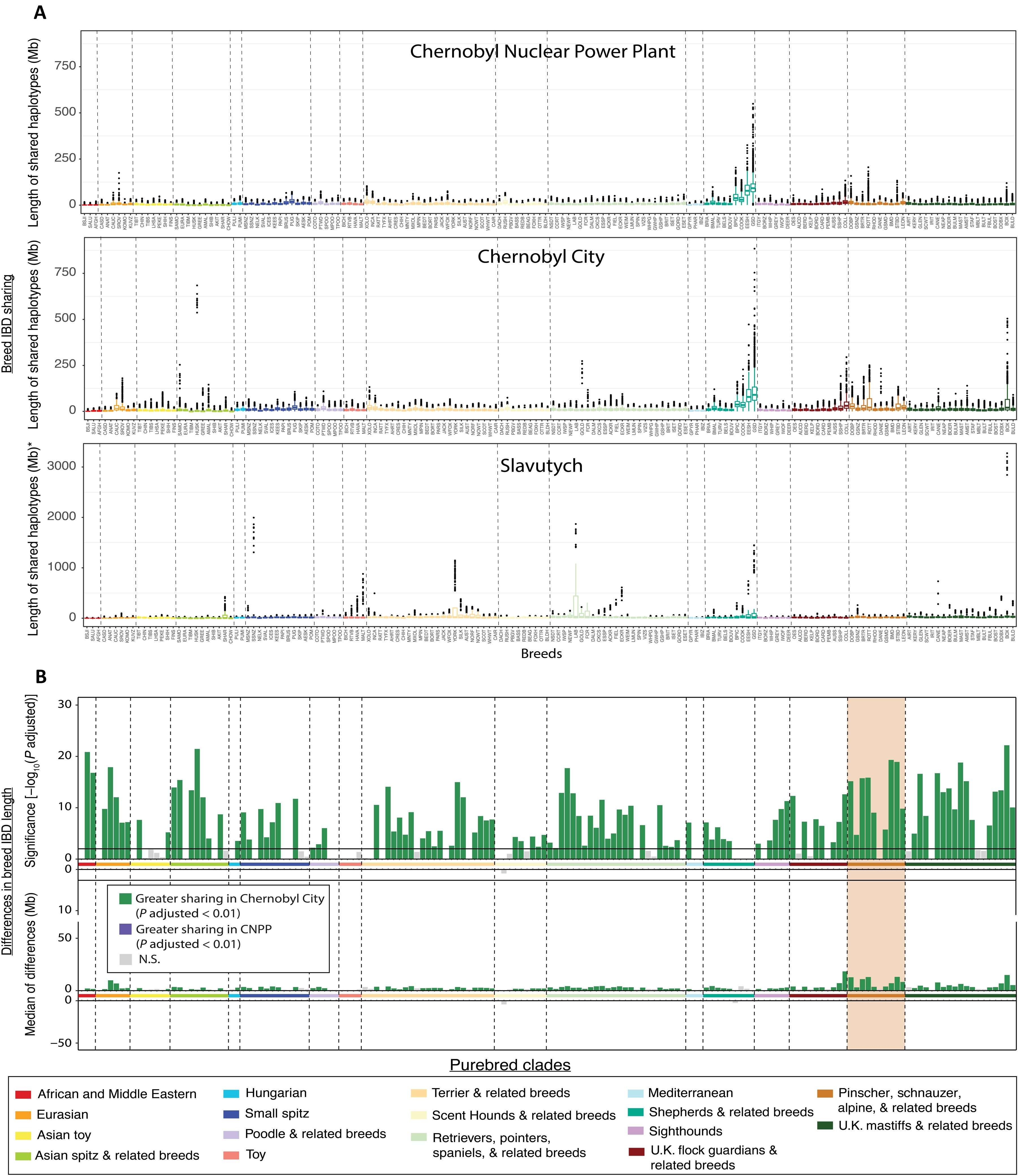 Differences-in-breed-ancestry-between-Chernobyl-populations-ebe10df69fad78264d457a942ea1120d.jpg