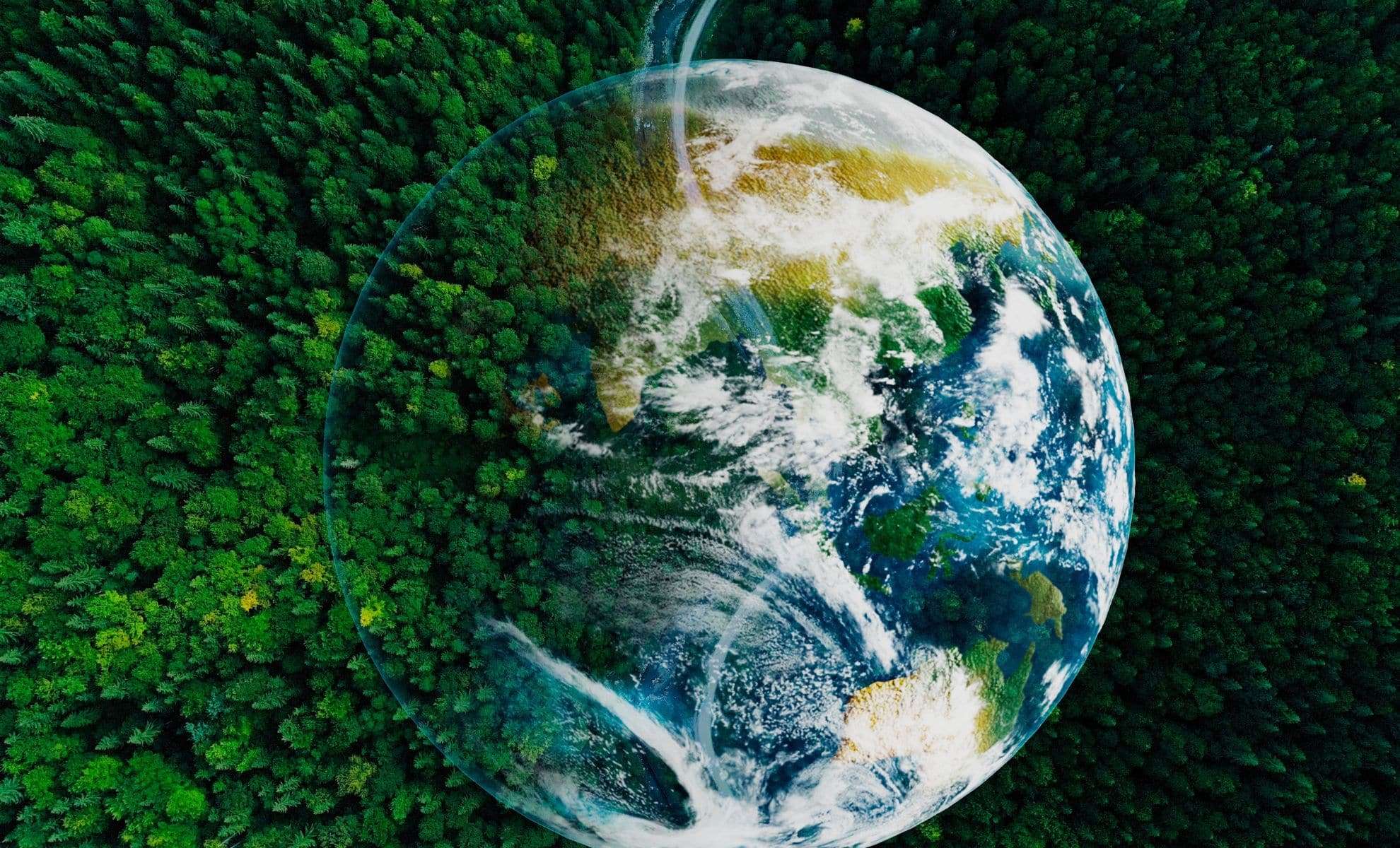 Earth’s Vegetation Flourishes While Ocean Life Faces Growing Challenges 