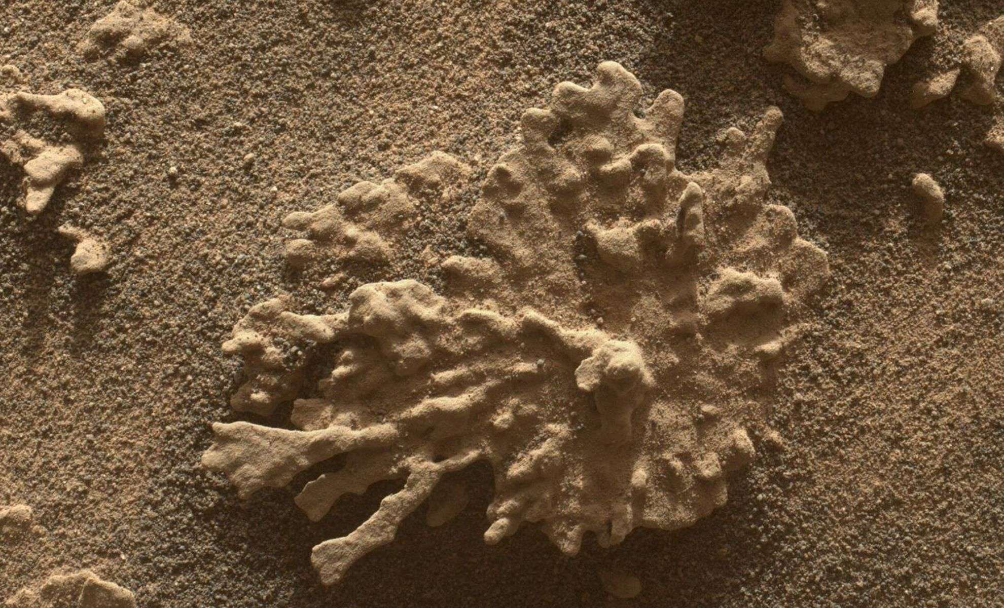 Curiosity Rover Uncovers Coral-Like Rock on Mars, Shedding Light on Ancient Water Activity 