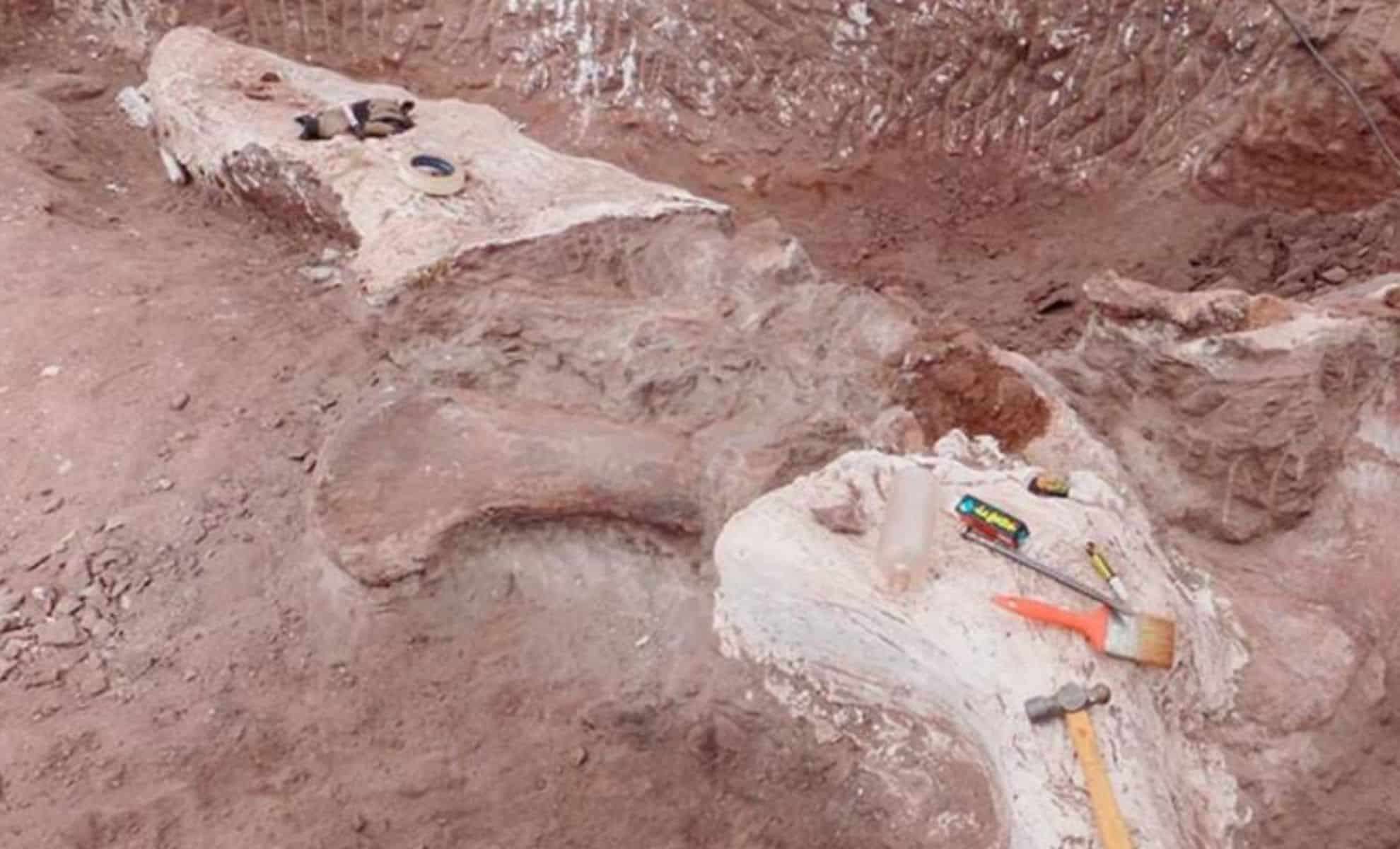 New 95-Million-Year-Old Herbivorous Dinosaur Discovered in Patagonia 