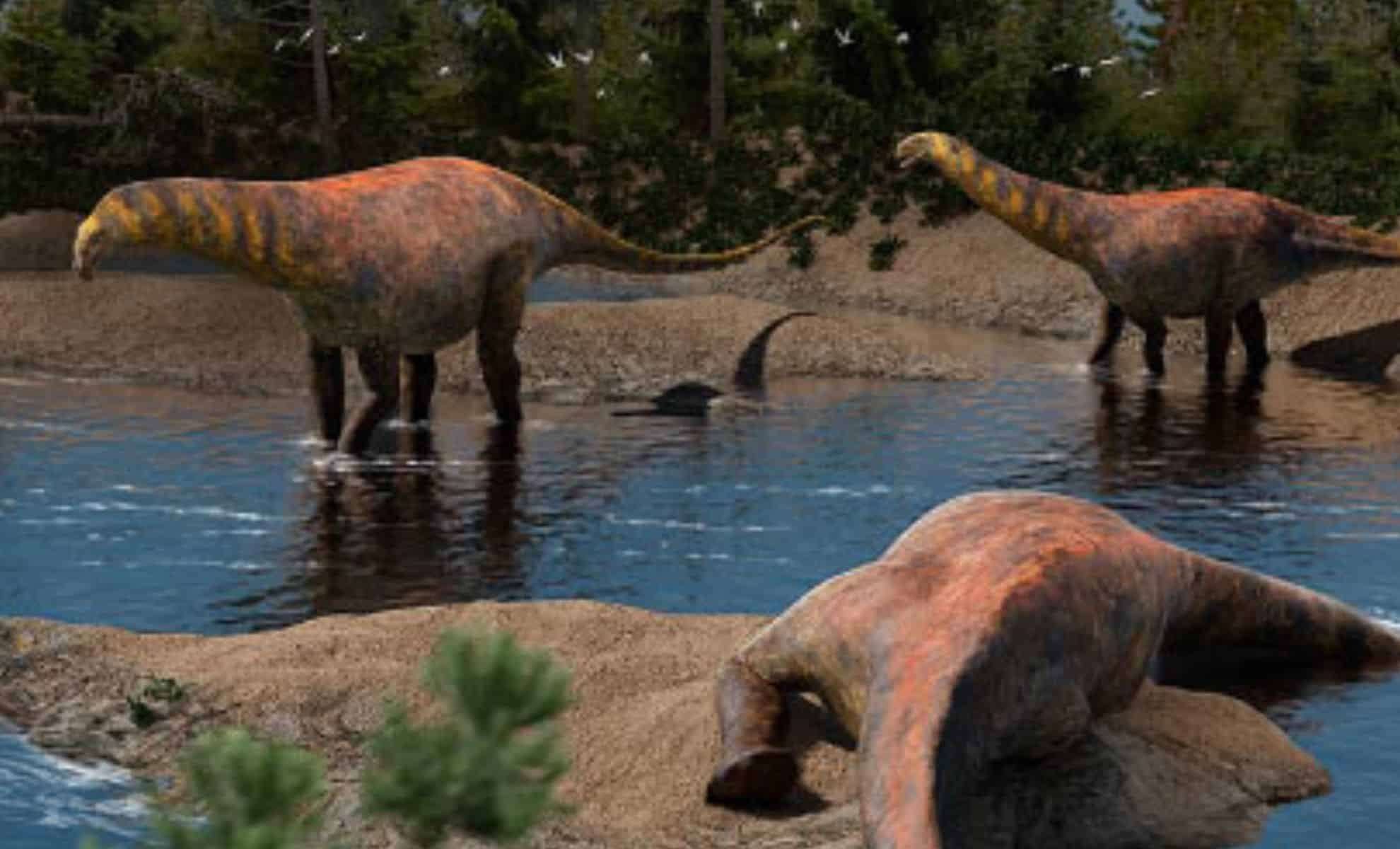 An-artists-reconstruction-of-Astigmasaura-genuflexa-8f70f377b2553137536ab6621c3c5b5d.jpg