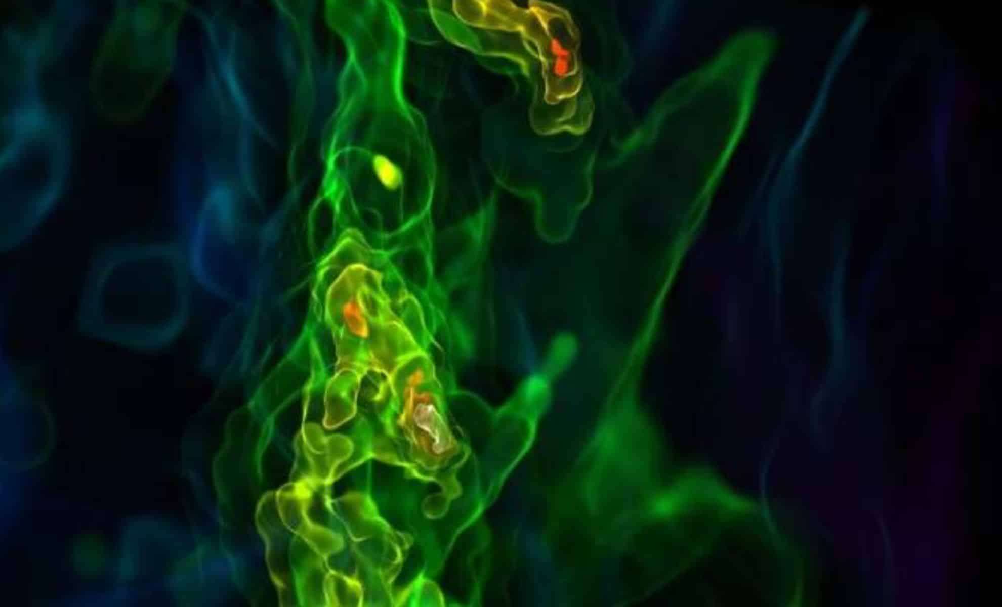 Revealing Turbulent Beginnings: How the Universe’s First Stars Took Shape 