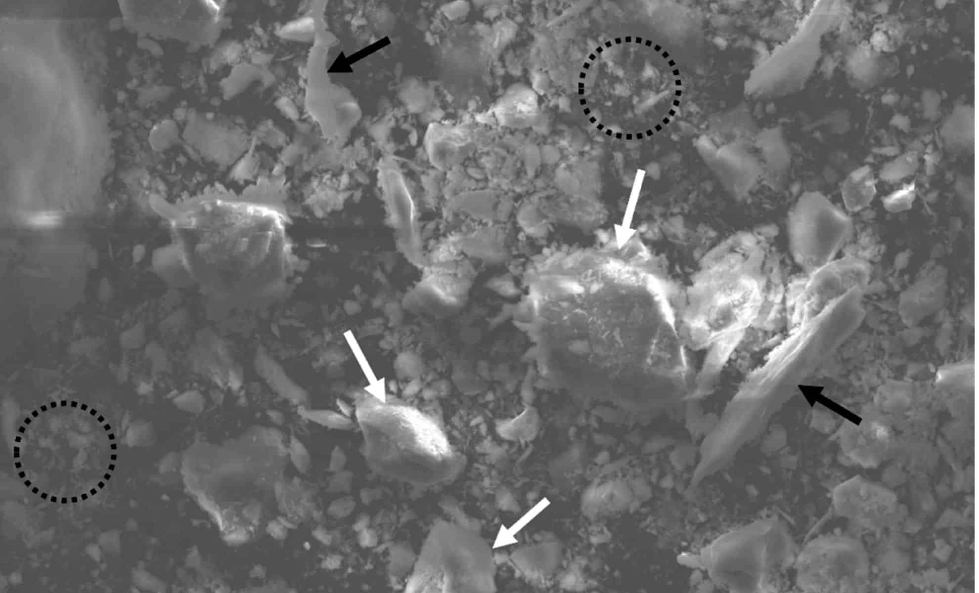 SEM-micrograph-of-the-initial-weathering-crust-from-the-Kundybay-deposit-155712e6e68b5c5f739be0ec9fdb3ab8.jpg