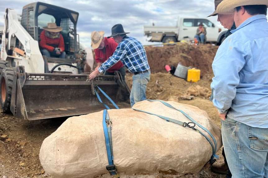 The-fossil-was-carefully-prepared-for-transport-e0a50aa6971c126474f04388fca33ca5.jpeg